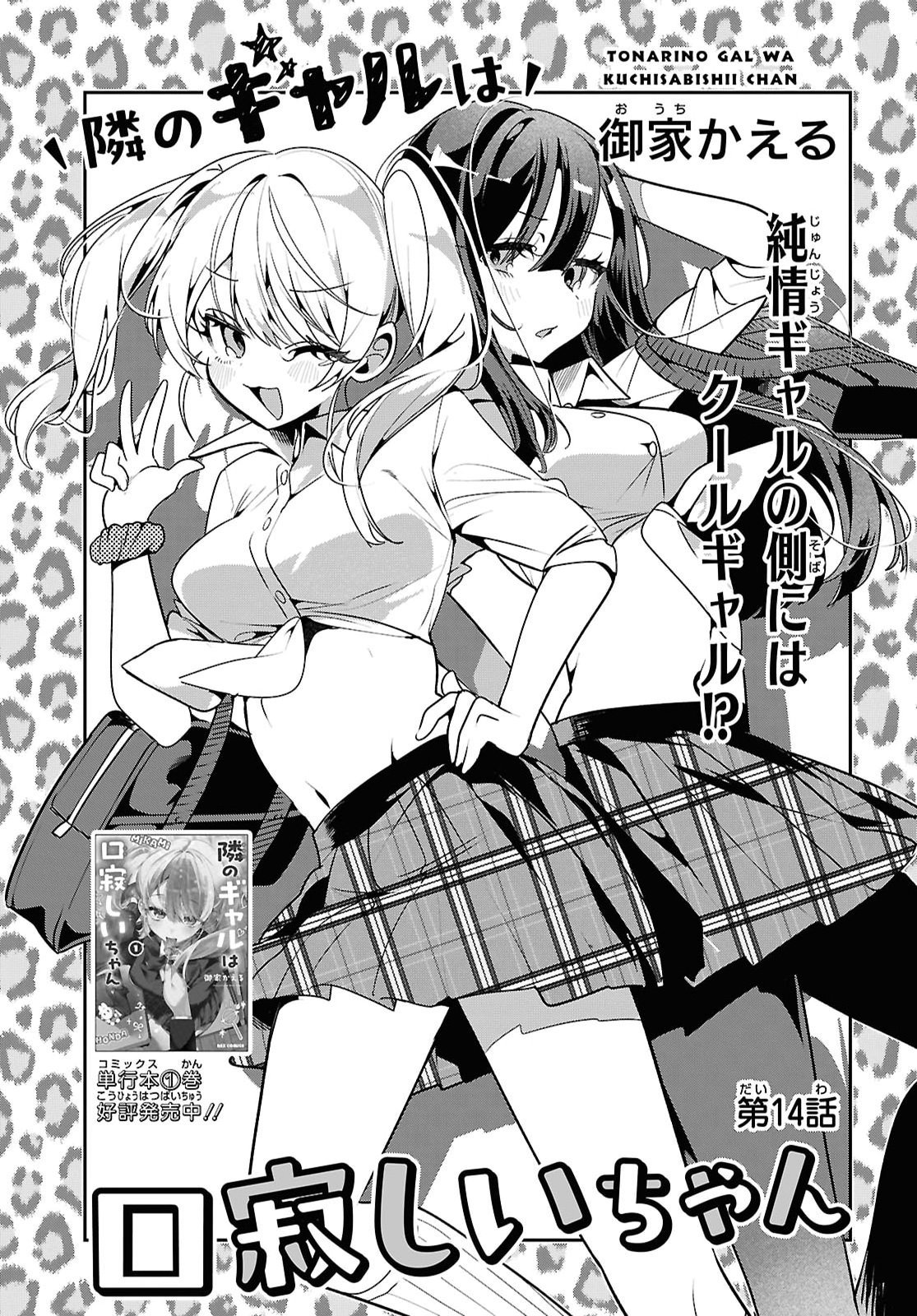 Tonari no Gyaru wa Kuchisabishii-chan Chapter 14 3ページ