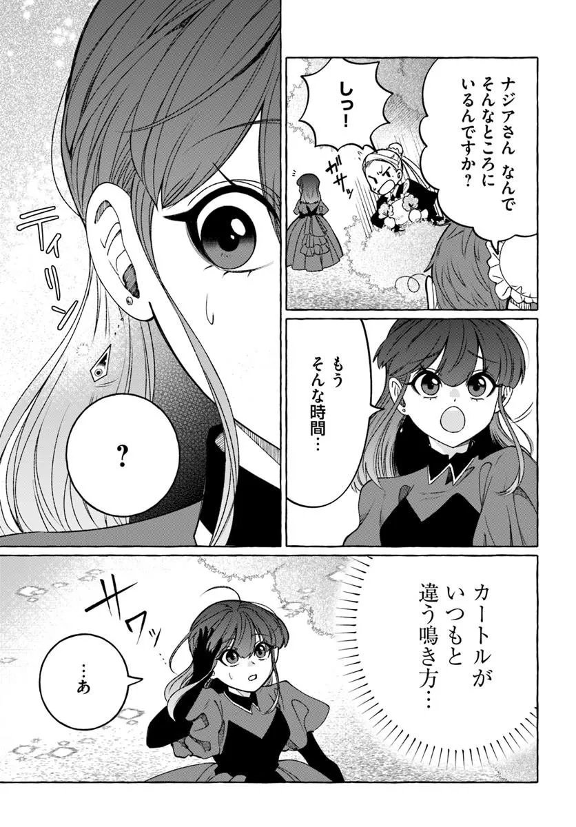 Henkyou Ryoushu Reijou no Shiroi Kekkon Chapter 13.2 5ページ