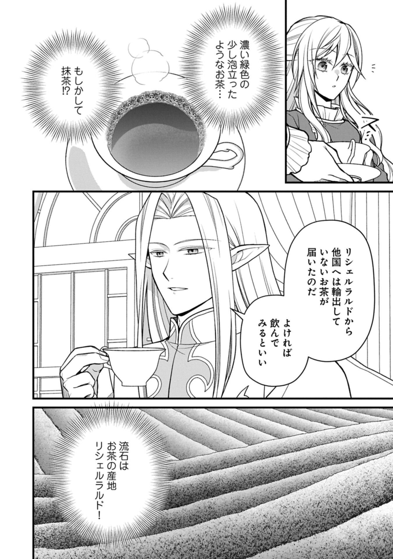 Konyaku Kaishou Nochi, Ohikkoshi. Seiran Rizeru no Kimama de Yuuga na Seikatsu Chapter 11.1 2ページ