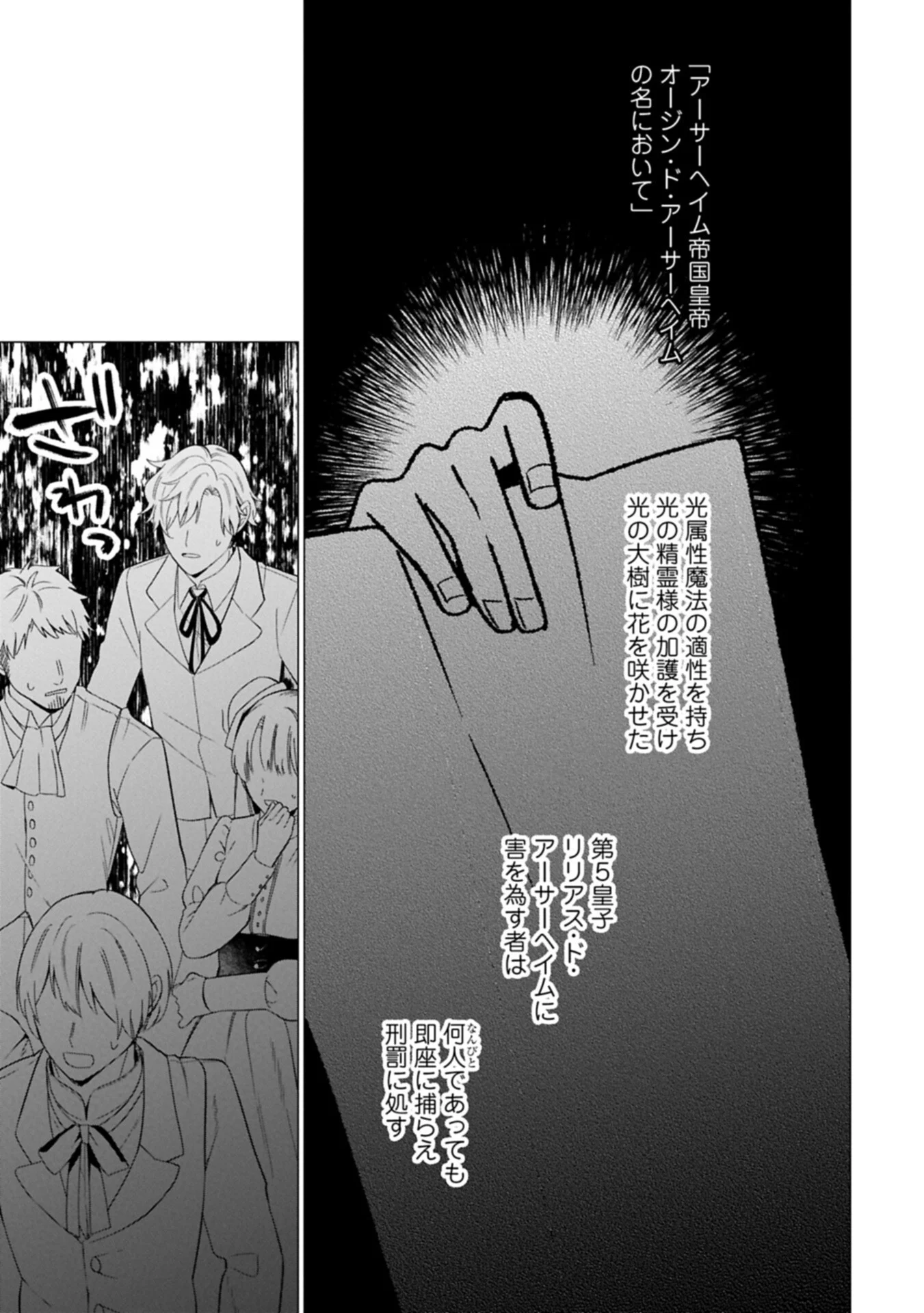 Boku wa Hikari No Kuni no Tensei Ouji-sama! Chapter 10.2 9ページ