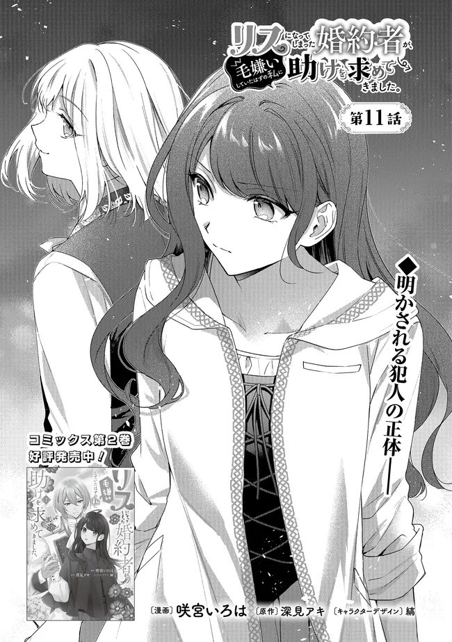 Risu ni Natte Shimatta Kon'yakusha ga, Kegirai Shiteita Hazu no Watashi ni Tasuke o Motomete Kimashita. Chapter 11.1 1ページ