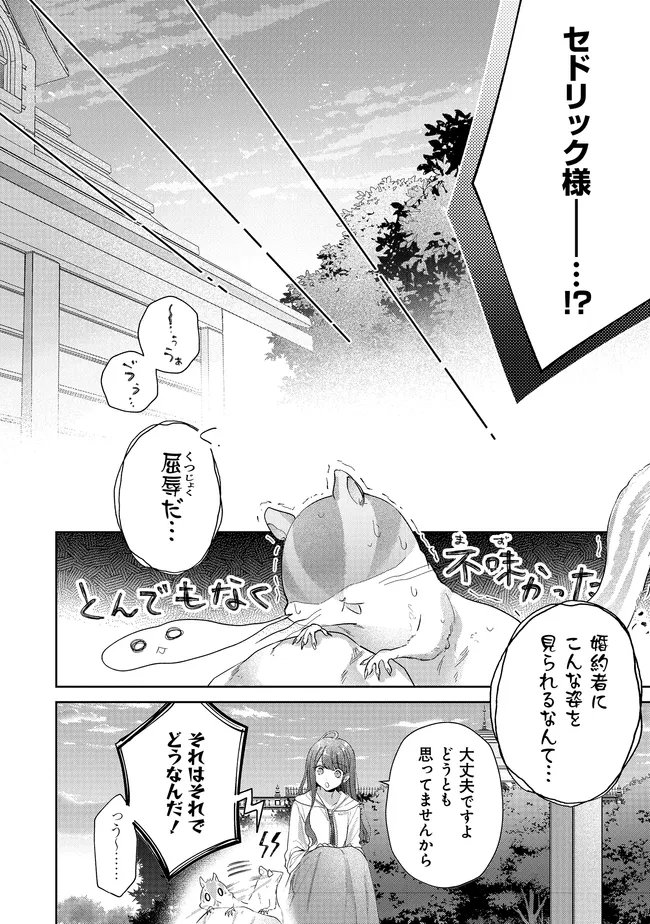 Risu ni Natte Shimatta Kon'yakusha ga, Kegirai Shiteita Hazu no Watashi ni Tasuke o Motomete Kimashita. Chapter 11.2 11ページ