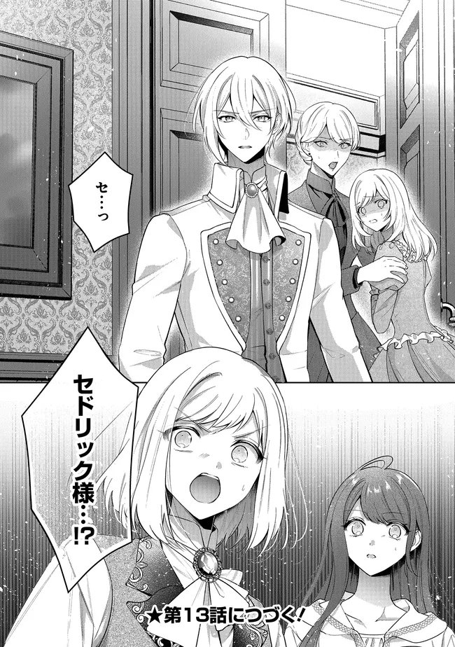 Risu ni Natte Shimatta Kon'yakusha ga, Kegirai Shiteita Hazu no Watashi ni Tasuke o Motomete Kimashita. Chapter 12.2 28ページ