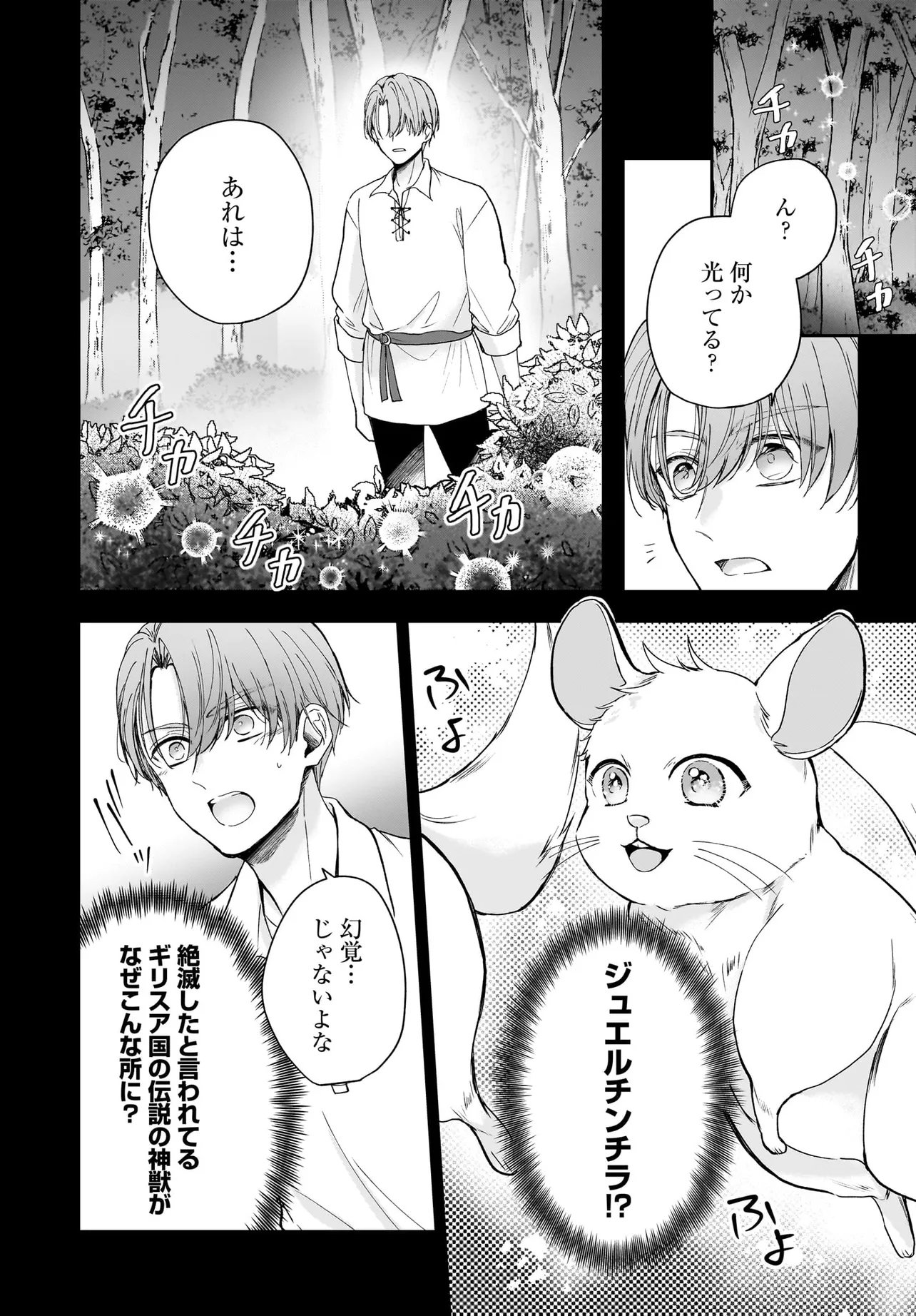 Shokugyou Ouhi desu no de, Ou no Dekiai wa Goenryo Negaimasu Chapter 4.1 20ページ