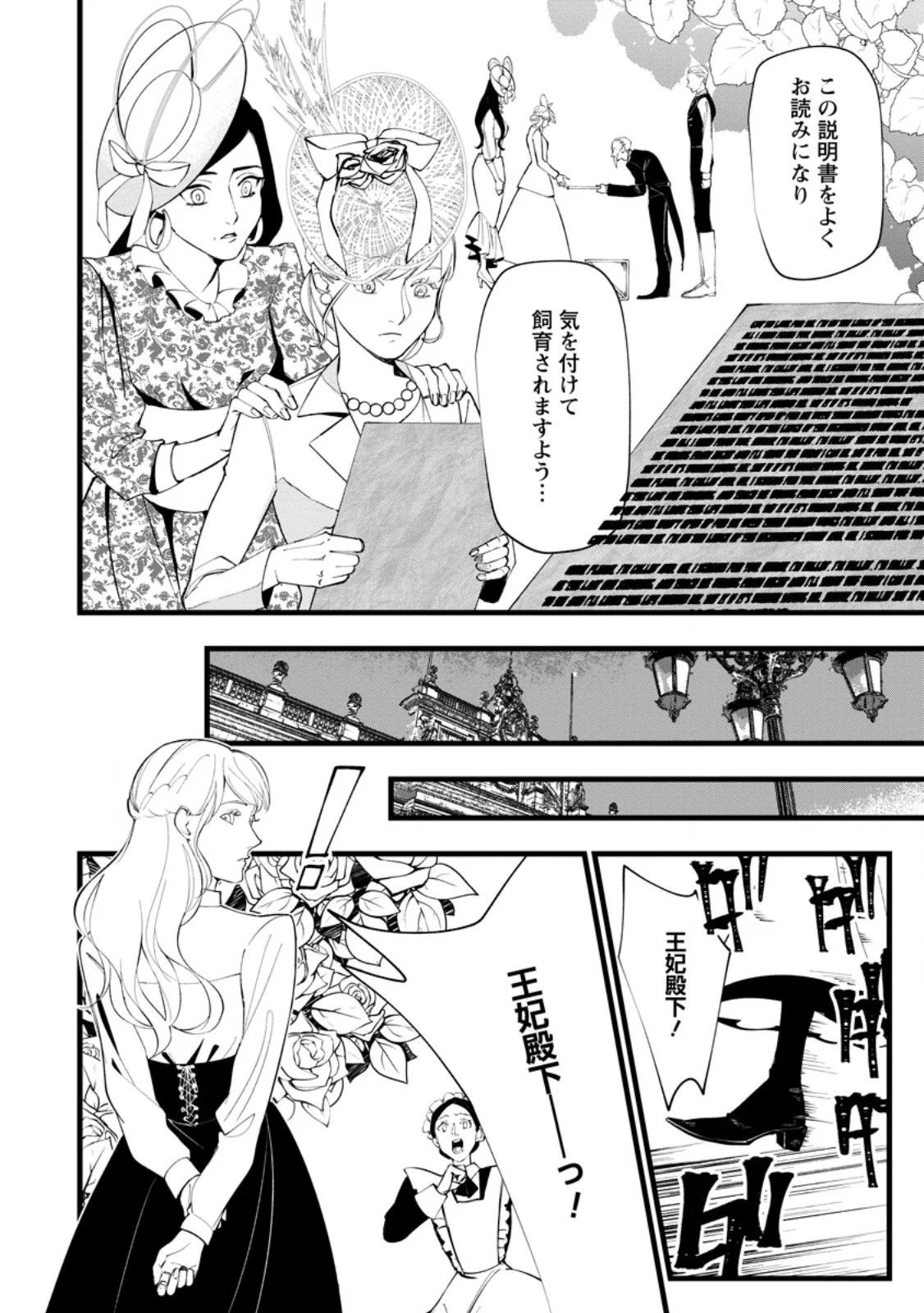 Dokuzu na Kazou to Wakareru Houhou Tensai no Ane wa Jitsu wa Dame Onna. Munou to Iwareta Imouto wa Kyuukoku no Madoushi Datta Chapter 24.2 4ページ