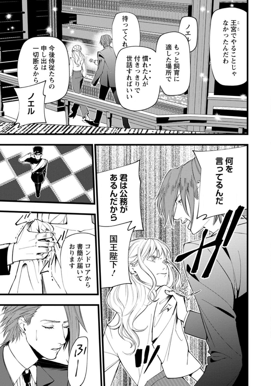 Dokuzu na Kazou to Wakareru Houhou Tensai no Ane wa Jitsu wa Dame Onna. Munou to Iwareta Imouto wa Kyuukoku no Madoushi Datta Chapter 24.3 3ページ