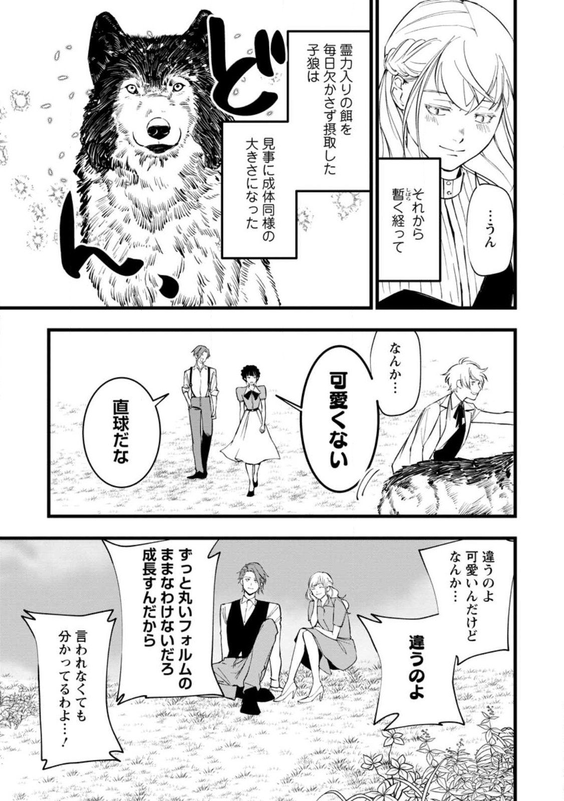 Dokuzu na Kazou to Wakareru Houhou Tensai no Ane wa Jitsu wa Dame Onna. Munou to Iwareta Imouto wa Kyuukoku no Madoushi Datta Chapter 24.5 3ページ