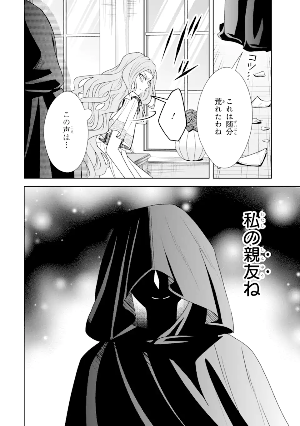 Kitai no Akujo, Sandome no Jinsei de "Musai Munou" wo Tanoshimu Chapter 22.2 11ページ