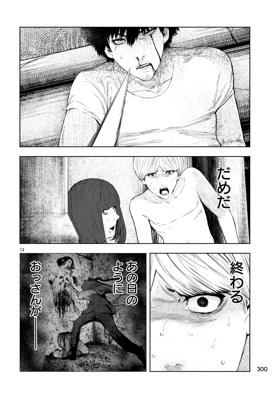 Amateur Vigilante Chapter 21 14ページ