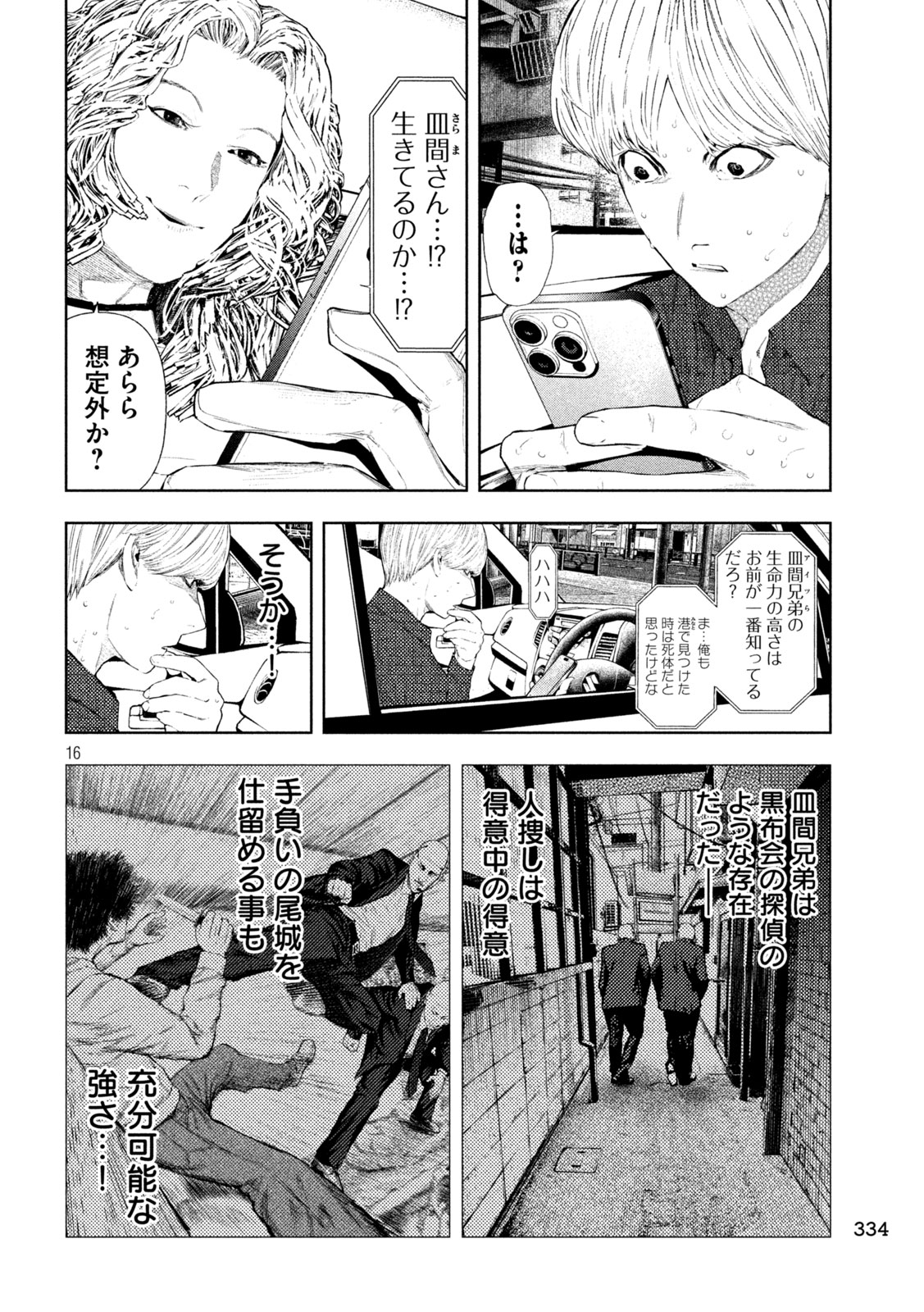Amateur Vigilante Chapter 74 16ページ