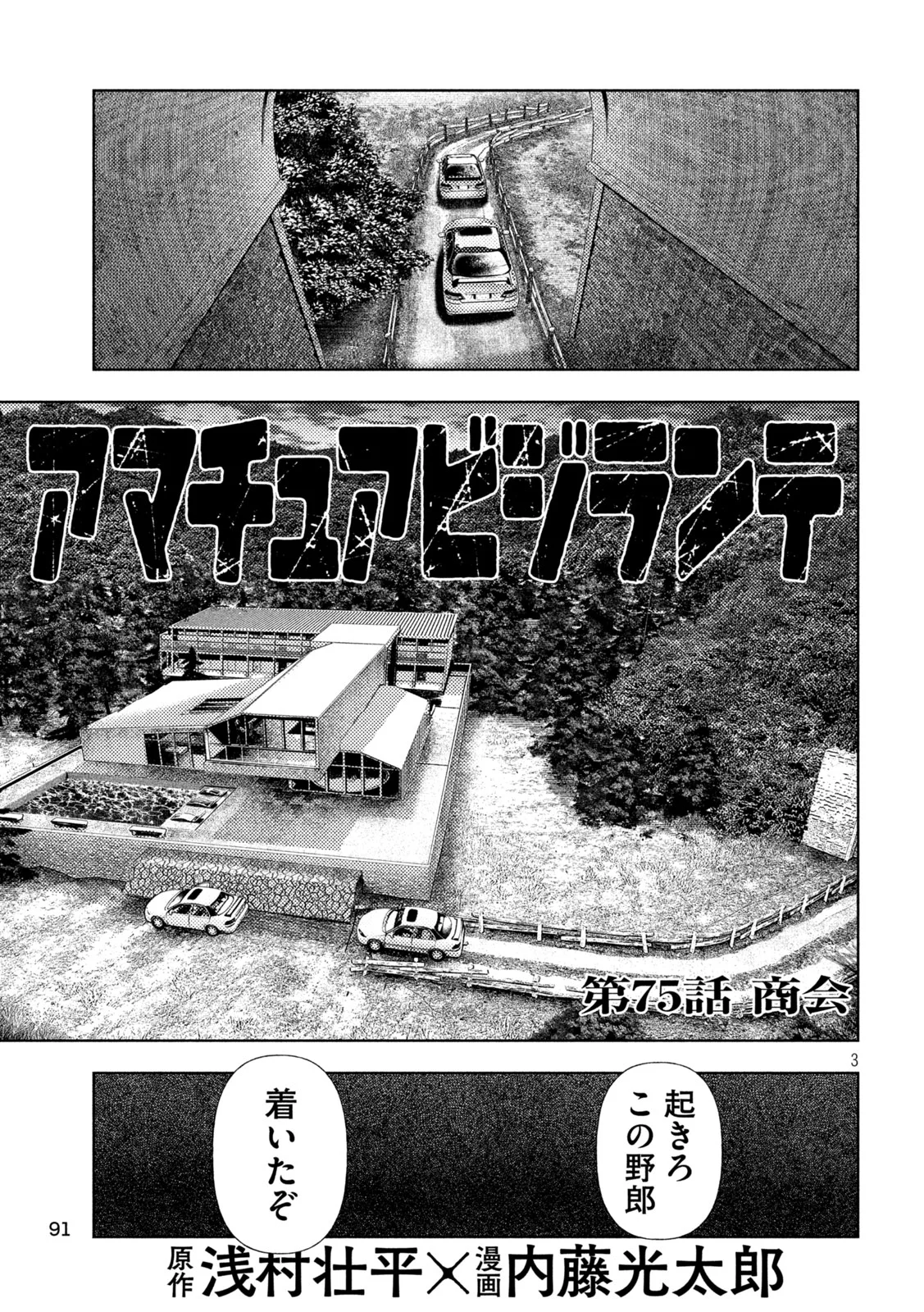 Amateur Vigilante Chapter 75 3ページ