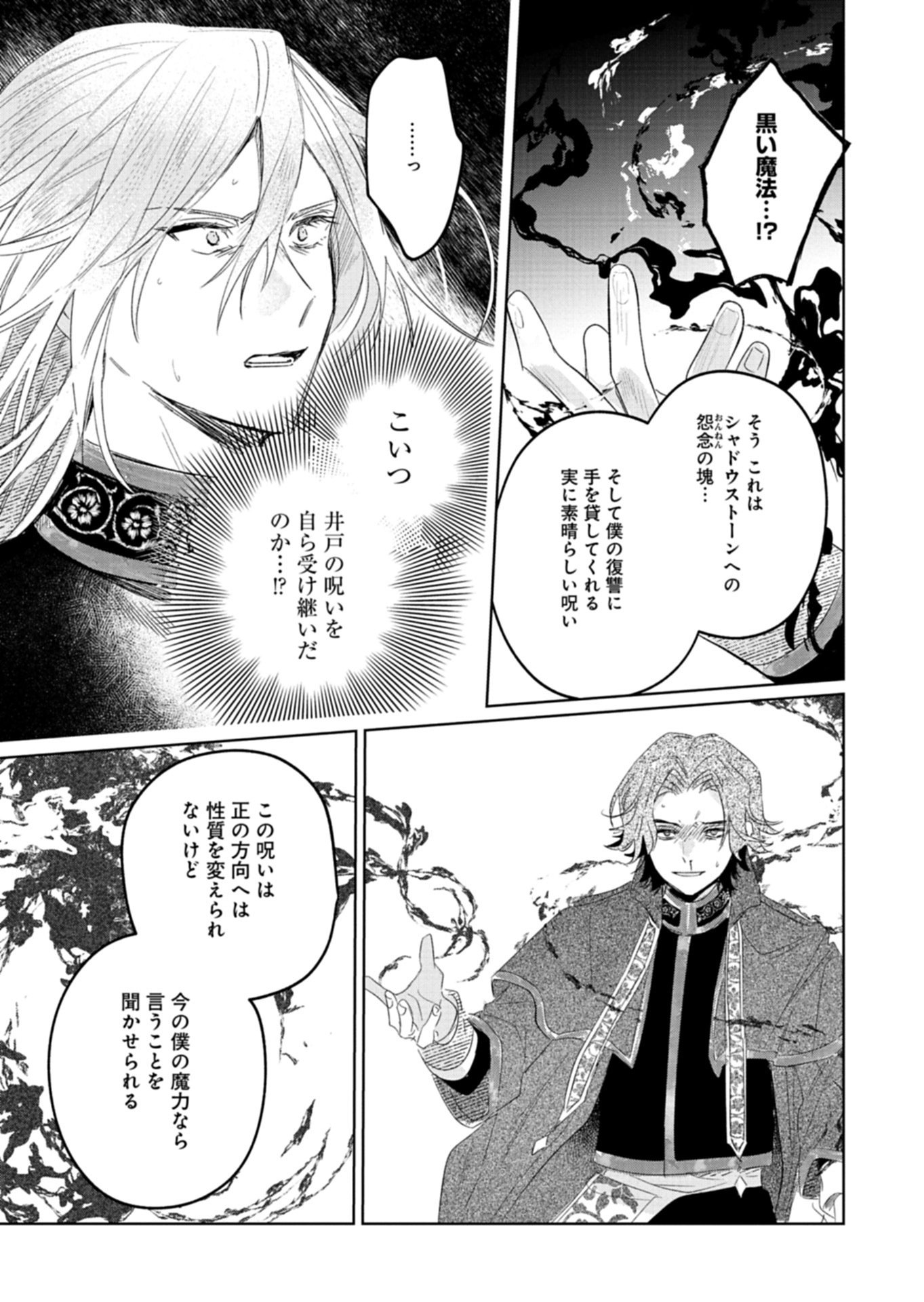 Akujo Kyosei Keikaku Chapter 14.2 12ページ