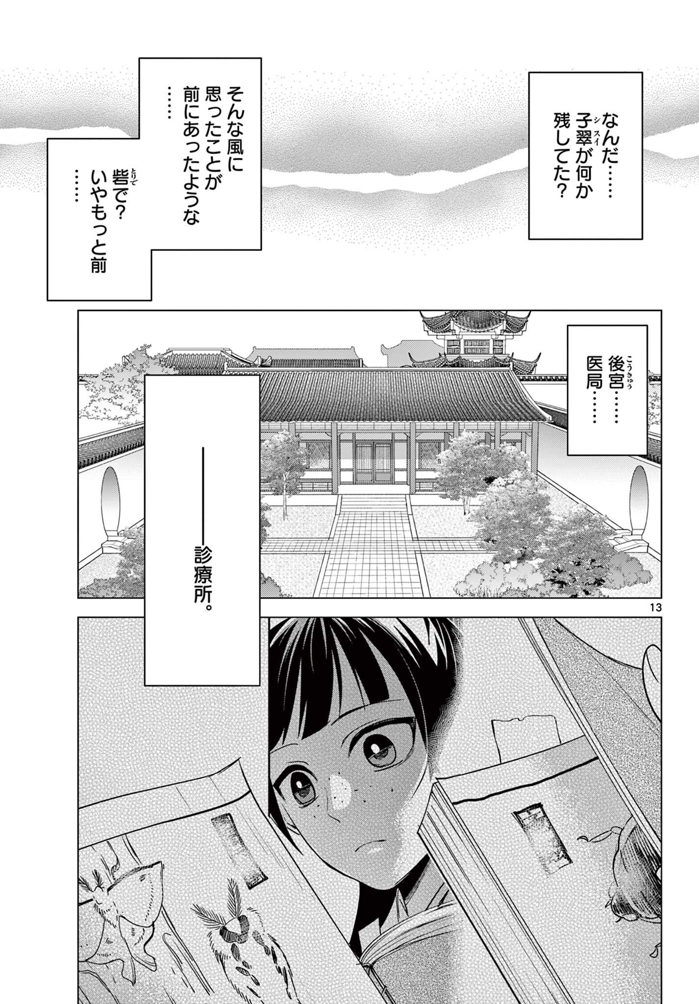 Kusuriya no Hitorigoto - Maomao no Koukyuu Nazotoki Techou Chapter 91.1 13ページ