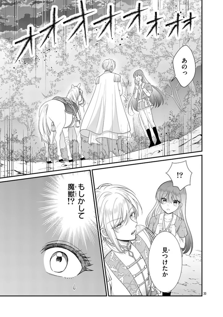 Kyuusei no Kishi Hime: Faran Chapter 1 29ページ