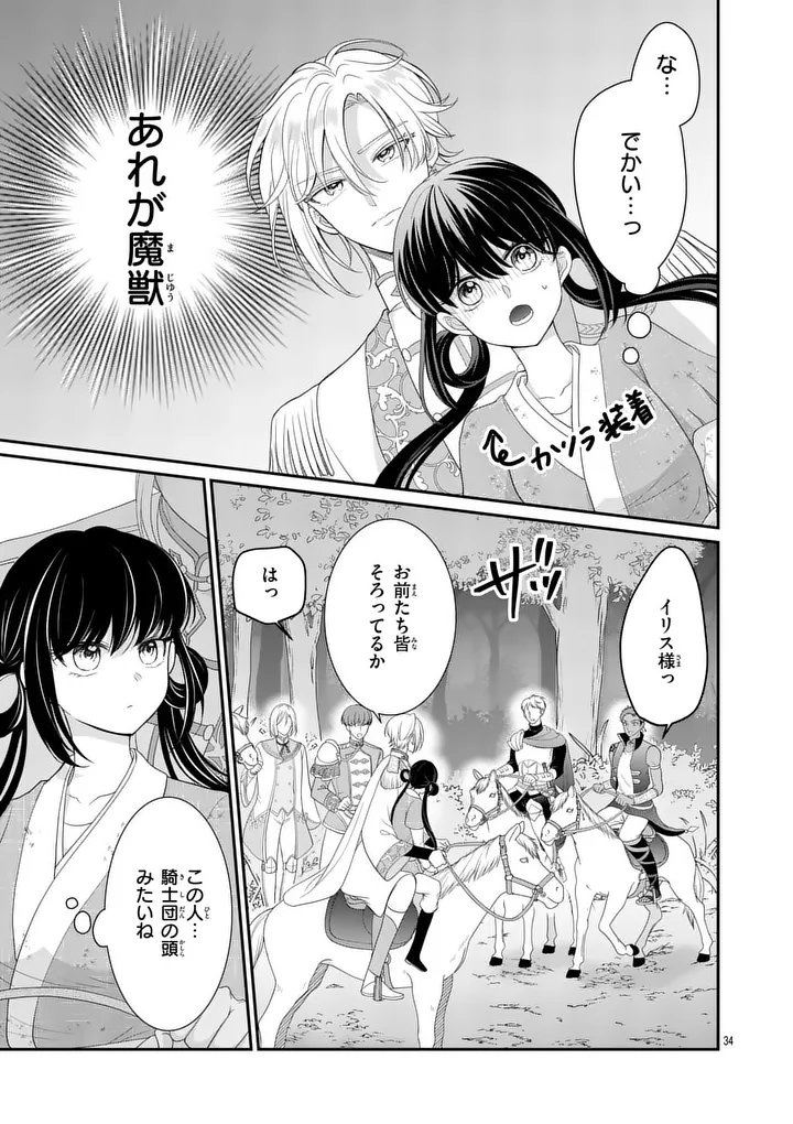 Kyuusei no Kishi Hime: Faran Chapter 1 33ページ