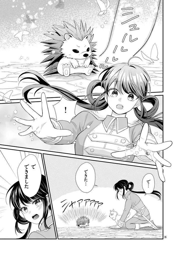 Kyuusei no Kishi Hime: Faran Chapter 6.2 9ページ