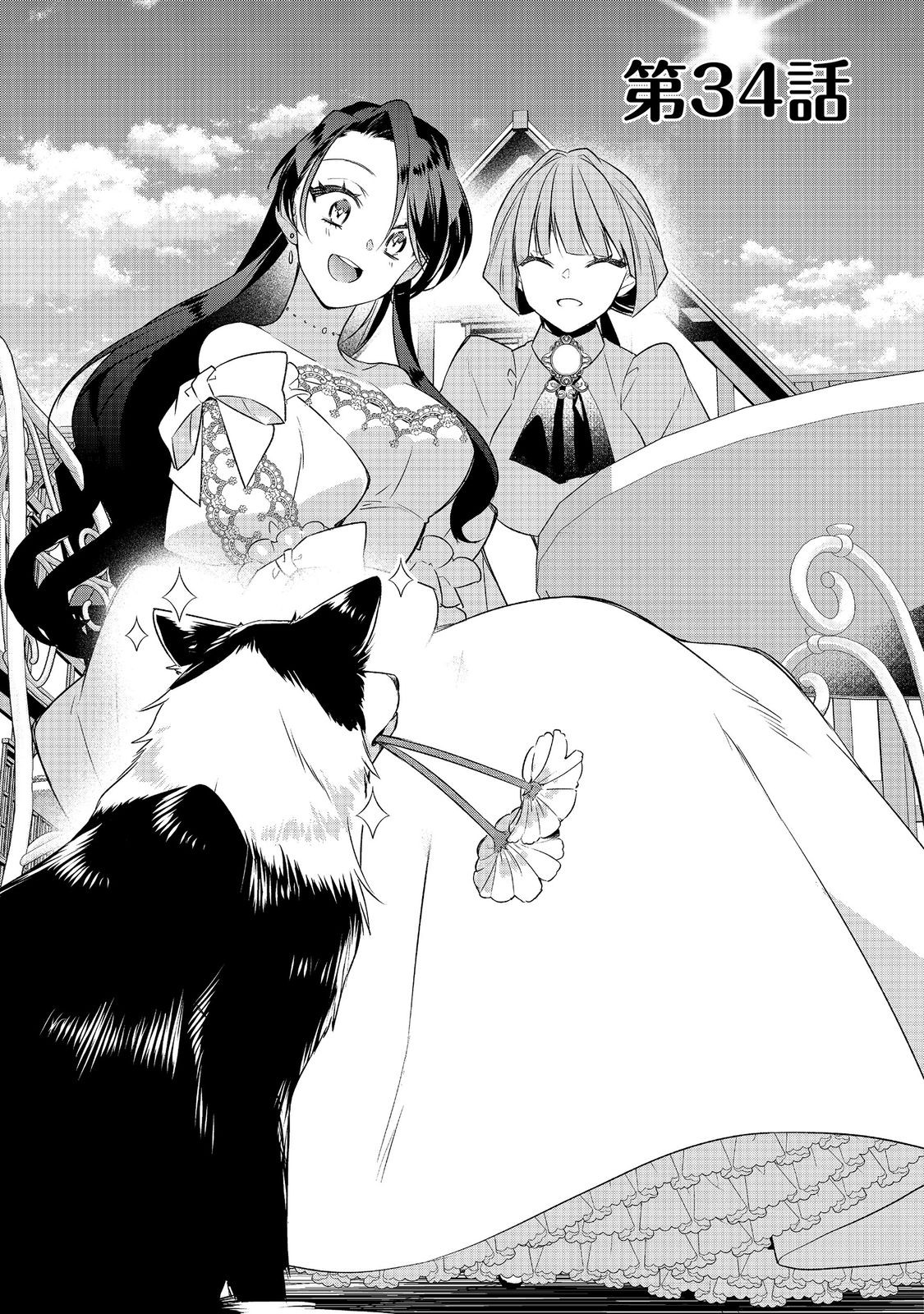 Danzaisareta Akuyaku Reijou wa, Gyakkou shite Kanpeki na Akujo wo Mezasu Chapter 34 3ページ