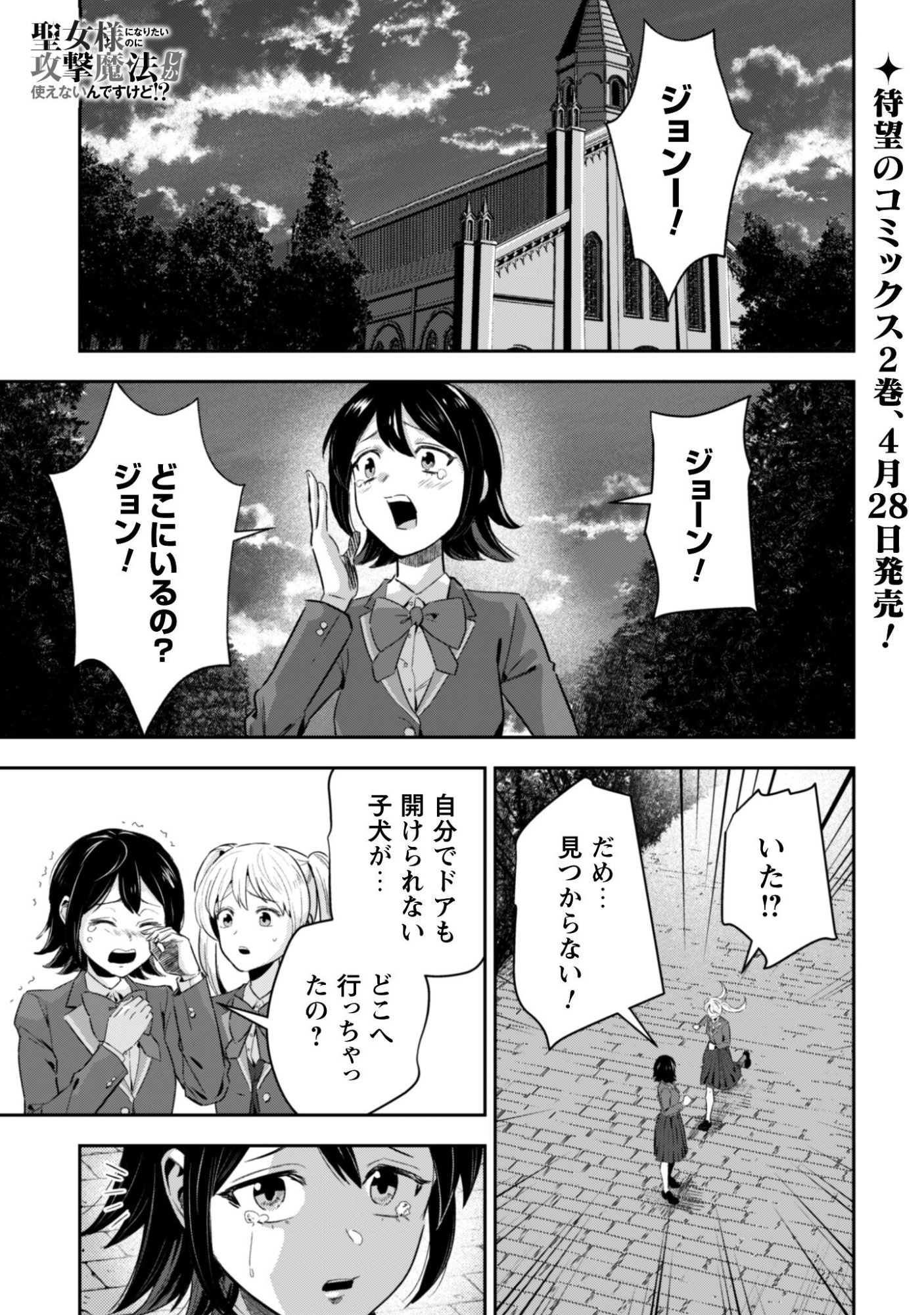 Seijo Sama ni Naritai noni Kougeki Mahou Shika Tsukaenain desu kedo!? Chapter 11 2ページ