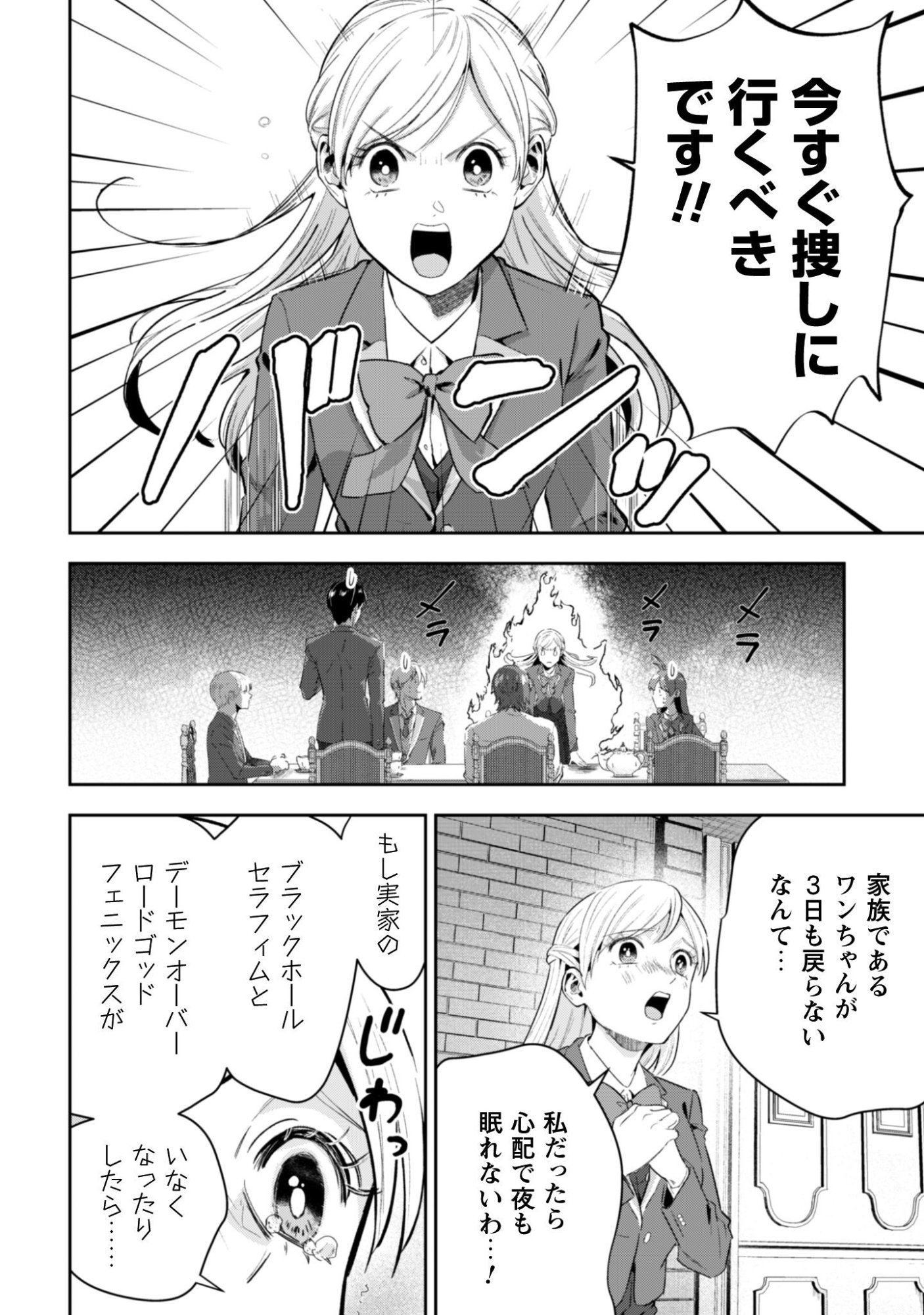 Seijo Sama ni Naritai noni Kougeki Mahou Shika Tsukaenain desu kedo!? Chapter 11 17ページ