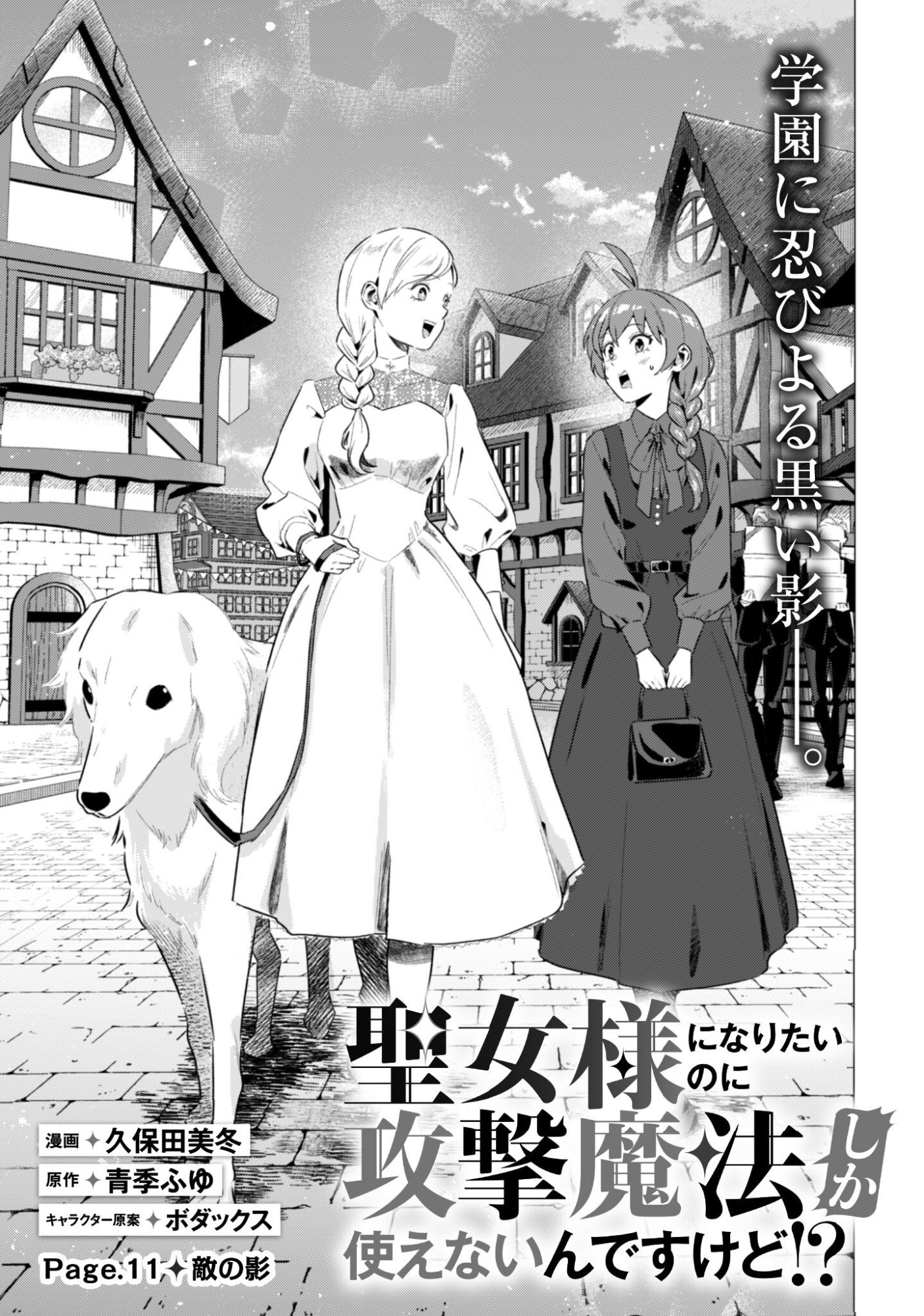 Seijo Sama ni Naritai noni Kougeki Mahou Shika Tsukaenain desu kedo!? Chapter 11 6ページ