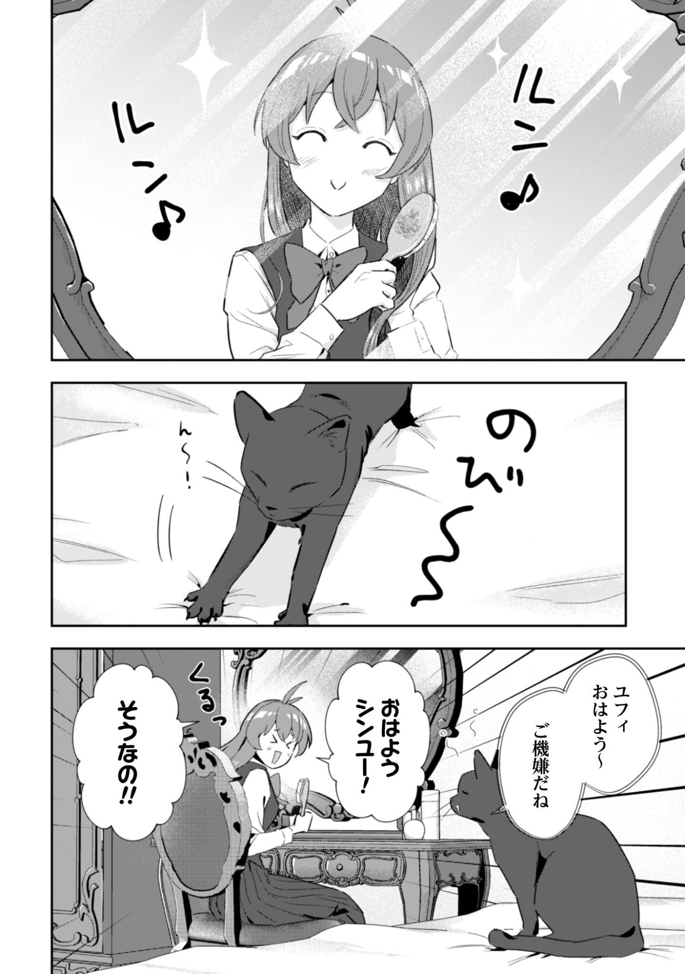 Seijo Sama ni Naritai noni Kougeki Mahou Shika Tsukaenain desu kedo!? Chapter 11 7ページ