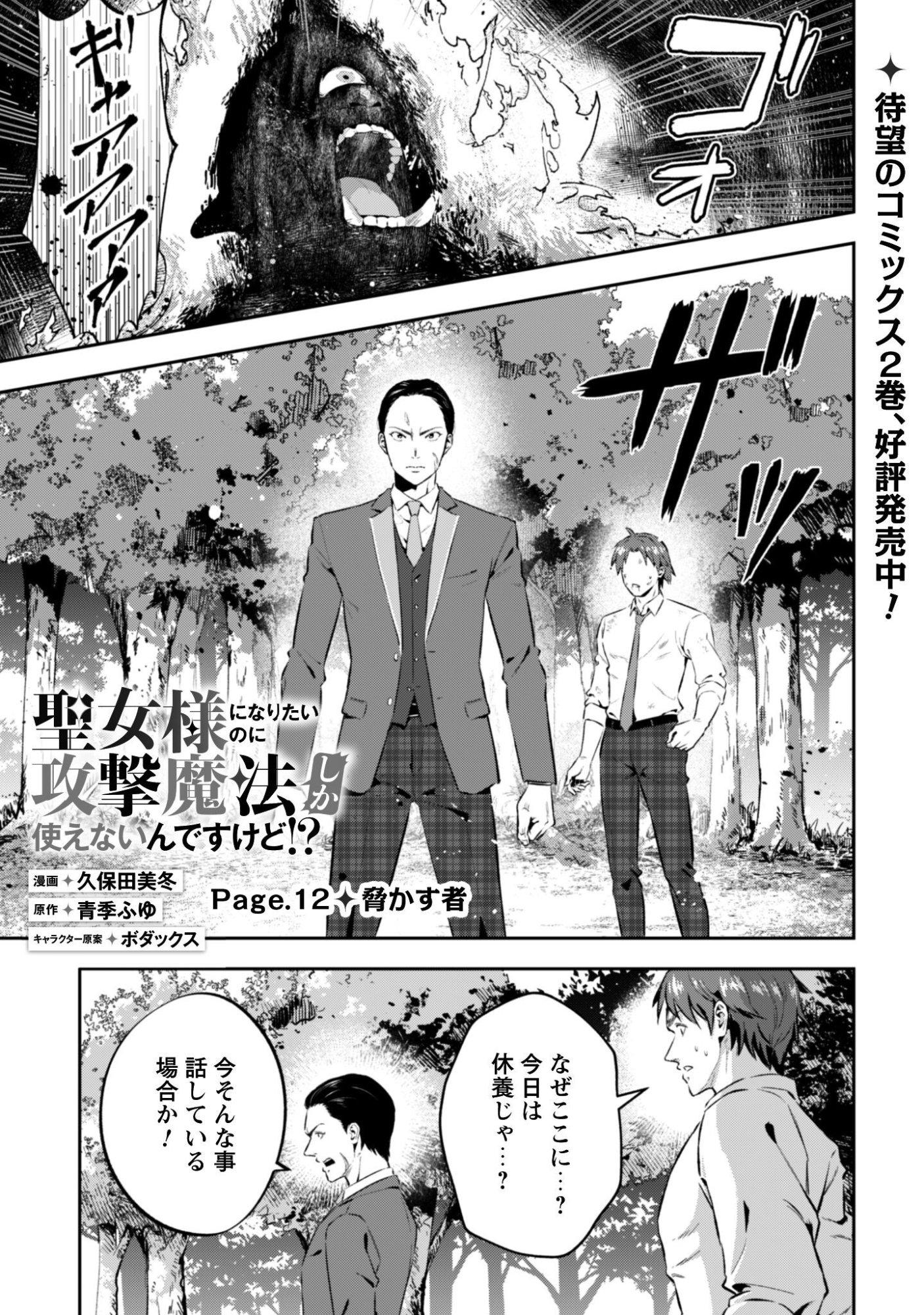 Seijo Sama ni Naritai noni Kougeki Mahou Shika Tsukaenain desu kedo!? Chapter 12 2ページ