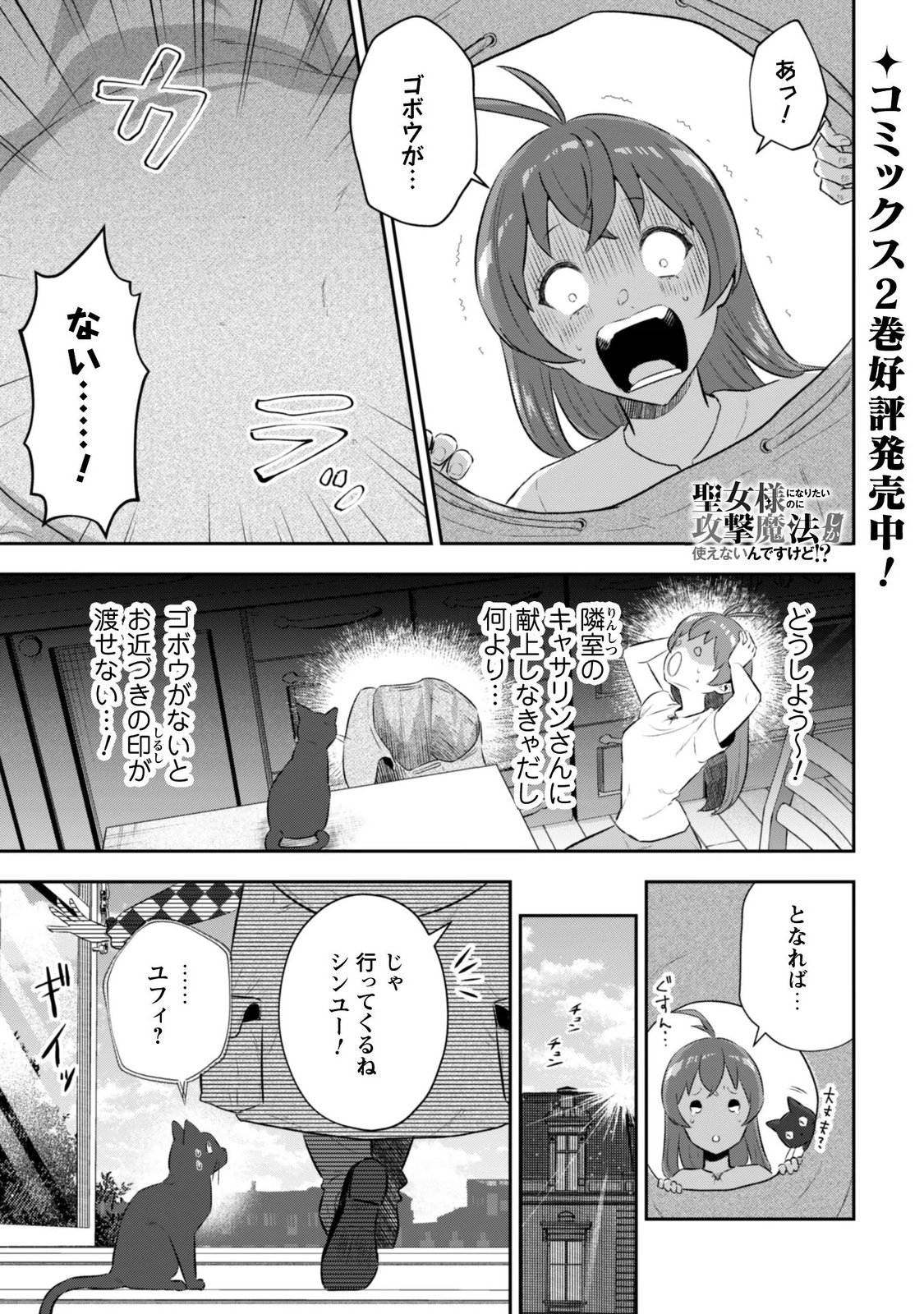Seijo Sama ni Naritai noni Kougeki Mahou Shika Tsukaenain desu kedo!? Chapter 12.5 2ページ
