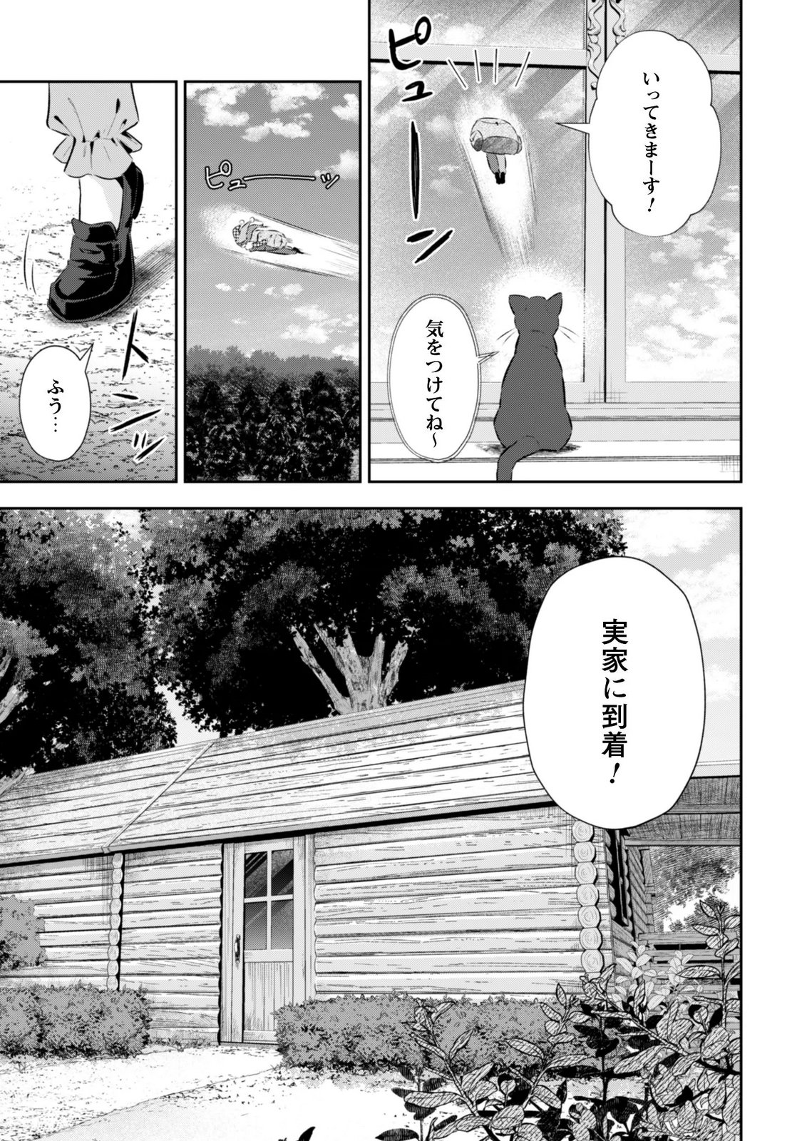 Seijo Sama ni Naritai noni Kougeki Mahou Shika Tsukaenain desu kedo!? Chapter 12.5 4ページ