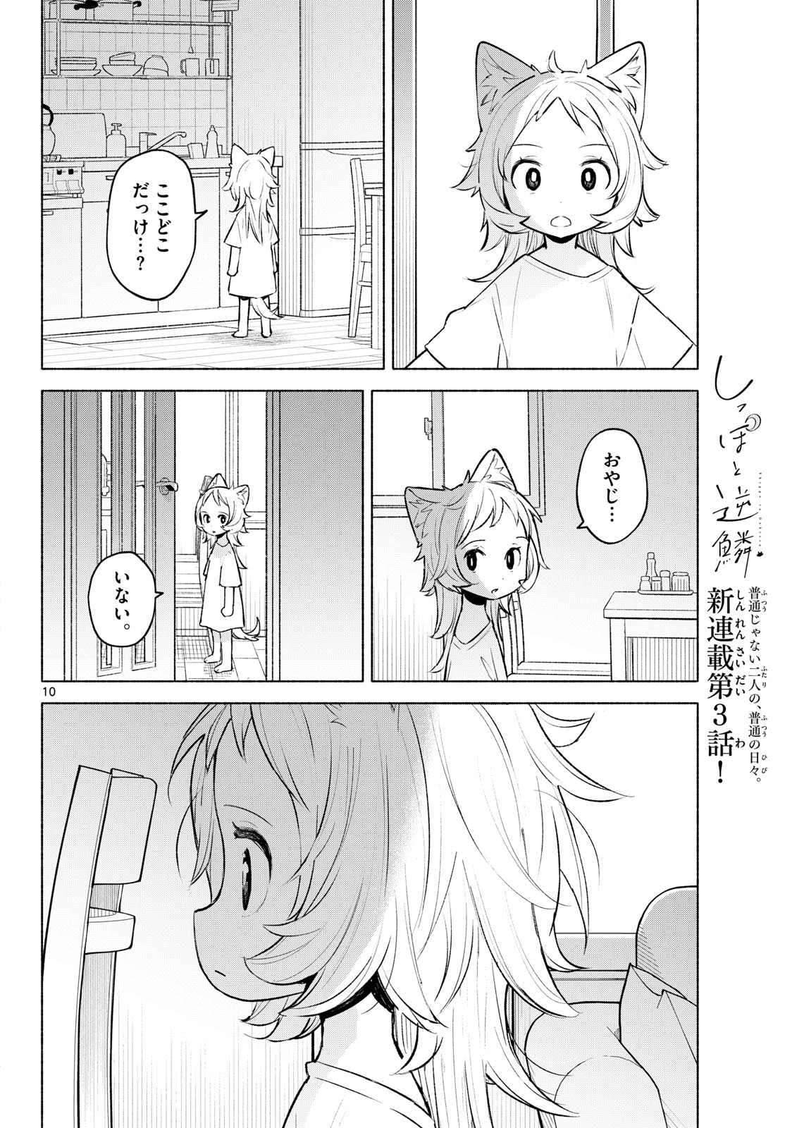 Shippo to Gekirin Chapter 3 10ページ