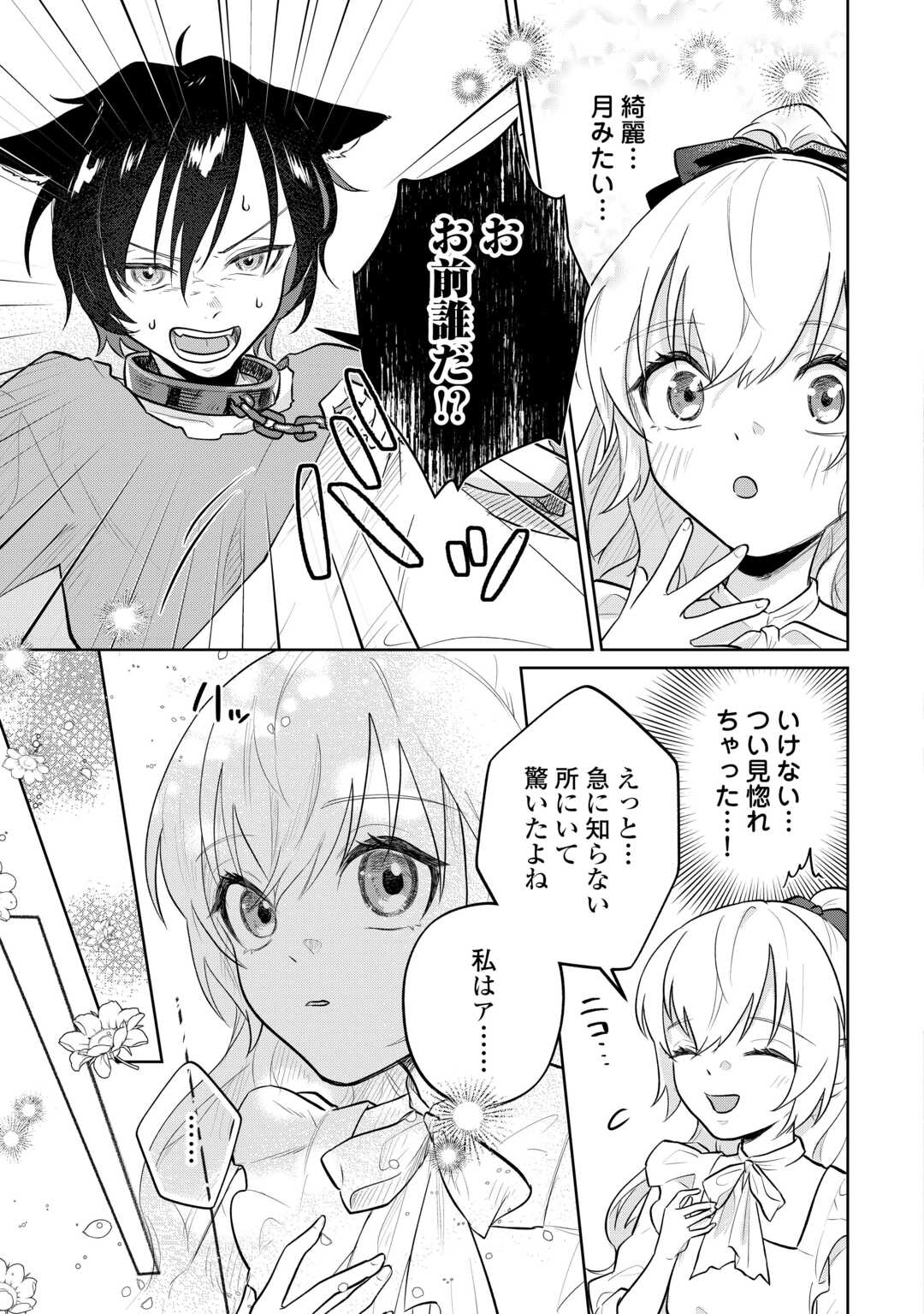 Isekai Tensei Reijou, Shuppon Suru Chapter 9 17ページ
