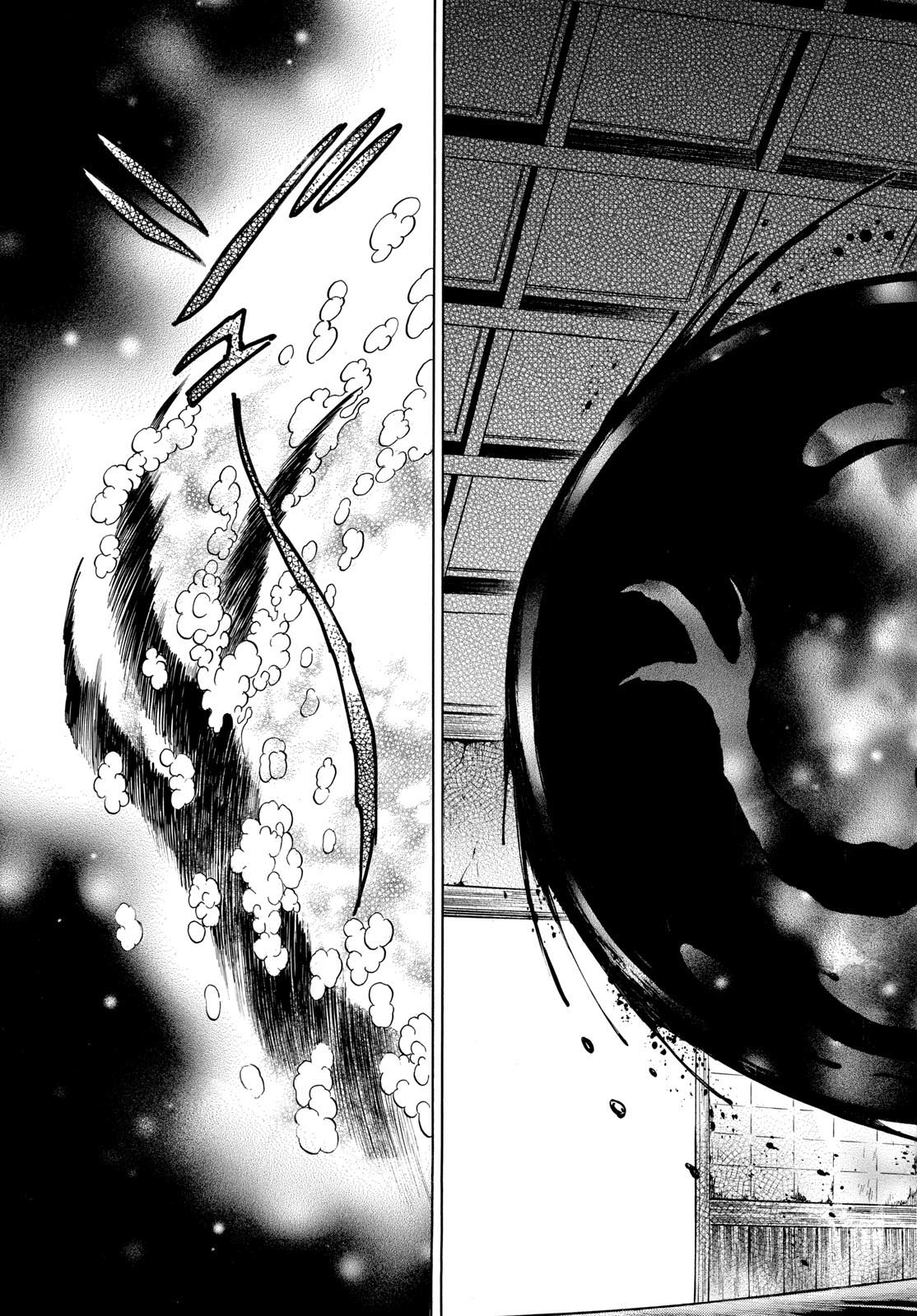 Mao Chapter 215 11ページ