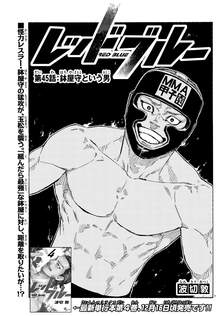 Red Blue Chapter 45 1ページ