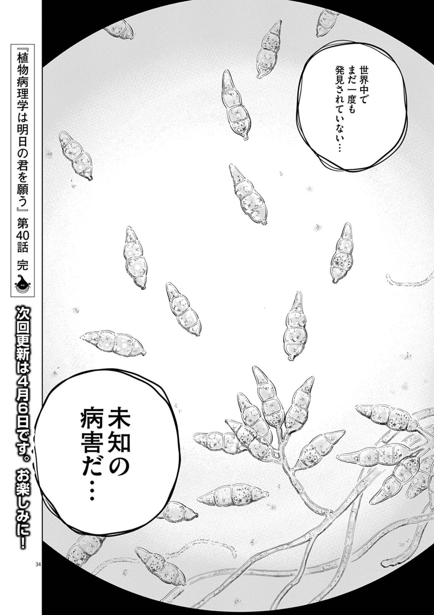 Shokubutsu Byourigaku wa Ashita no Kimi o Negau Chapter 40 34ページ