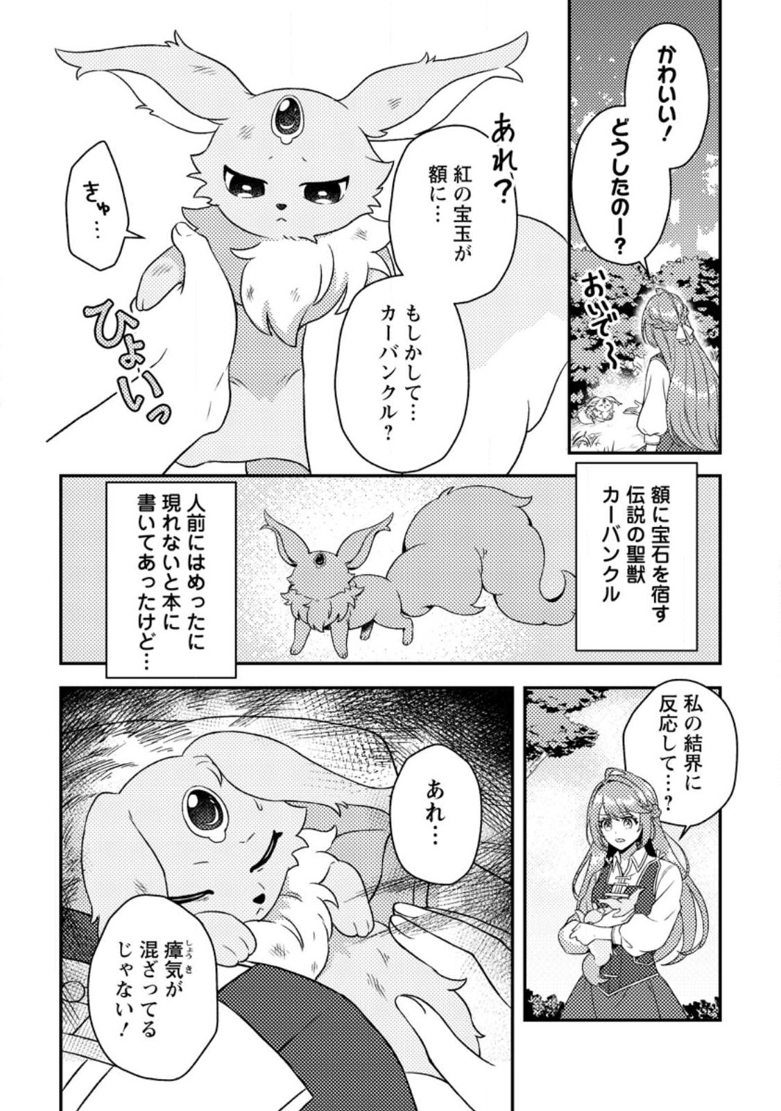 Houseki no Seijo Chapter 1 18ページ