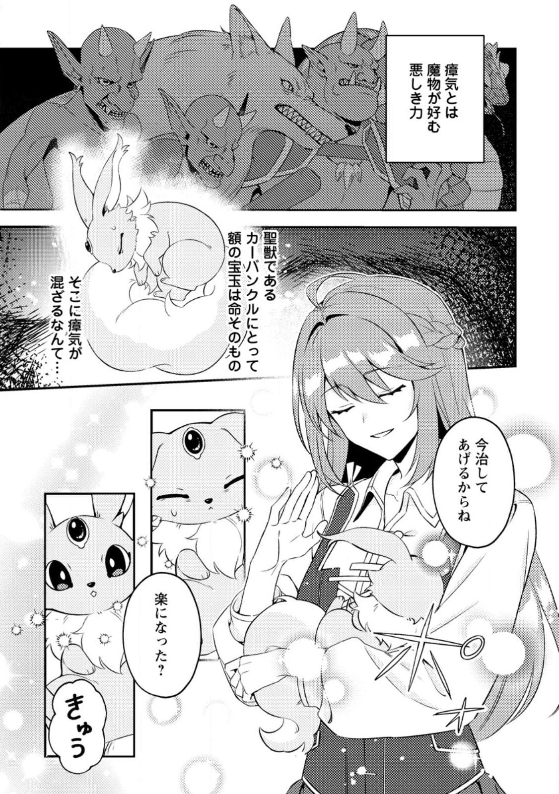 Houseki no Seijo Chapter 1 19ページ
