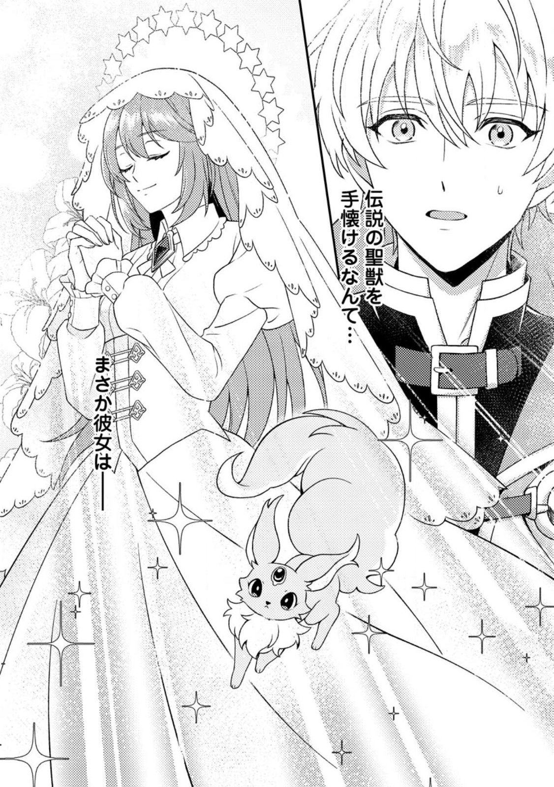 Houseki no Seijo Chapter 1 30ページ