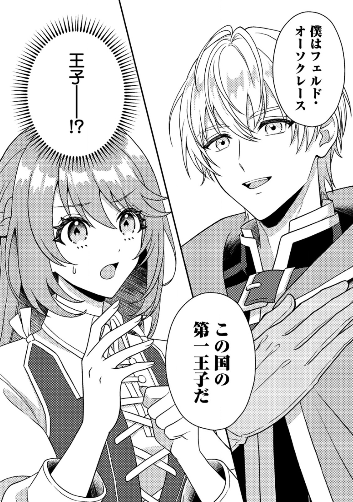 Houseki no Seijo Chapter 2.3 11ページ