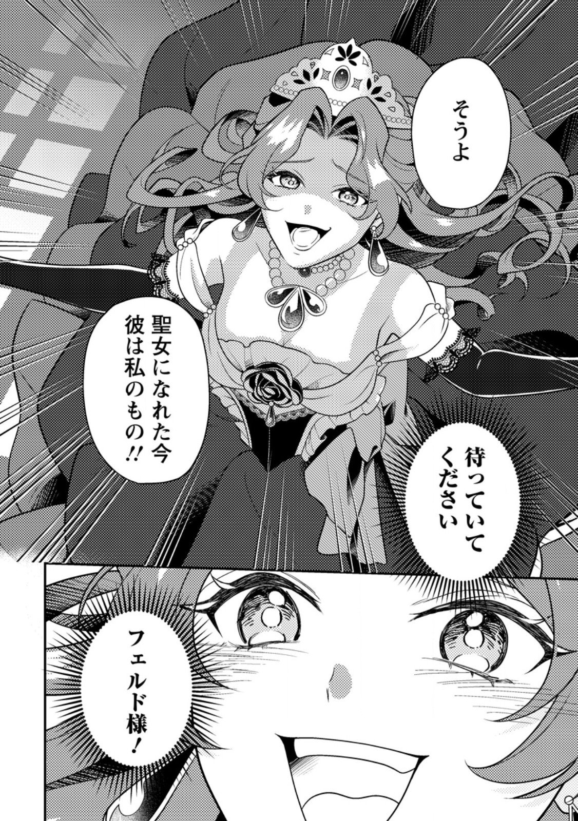 Houseki no Seijo Chapter 3.3 9ページ
