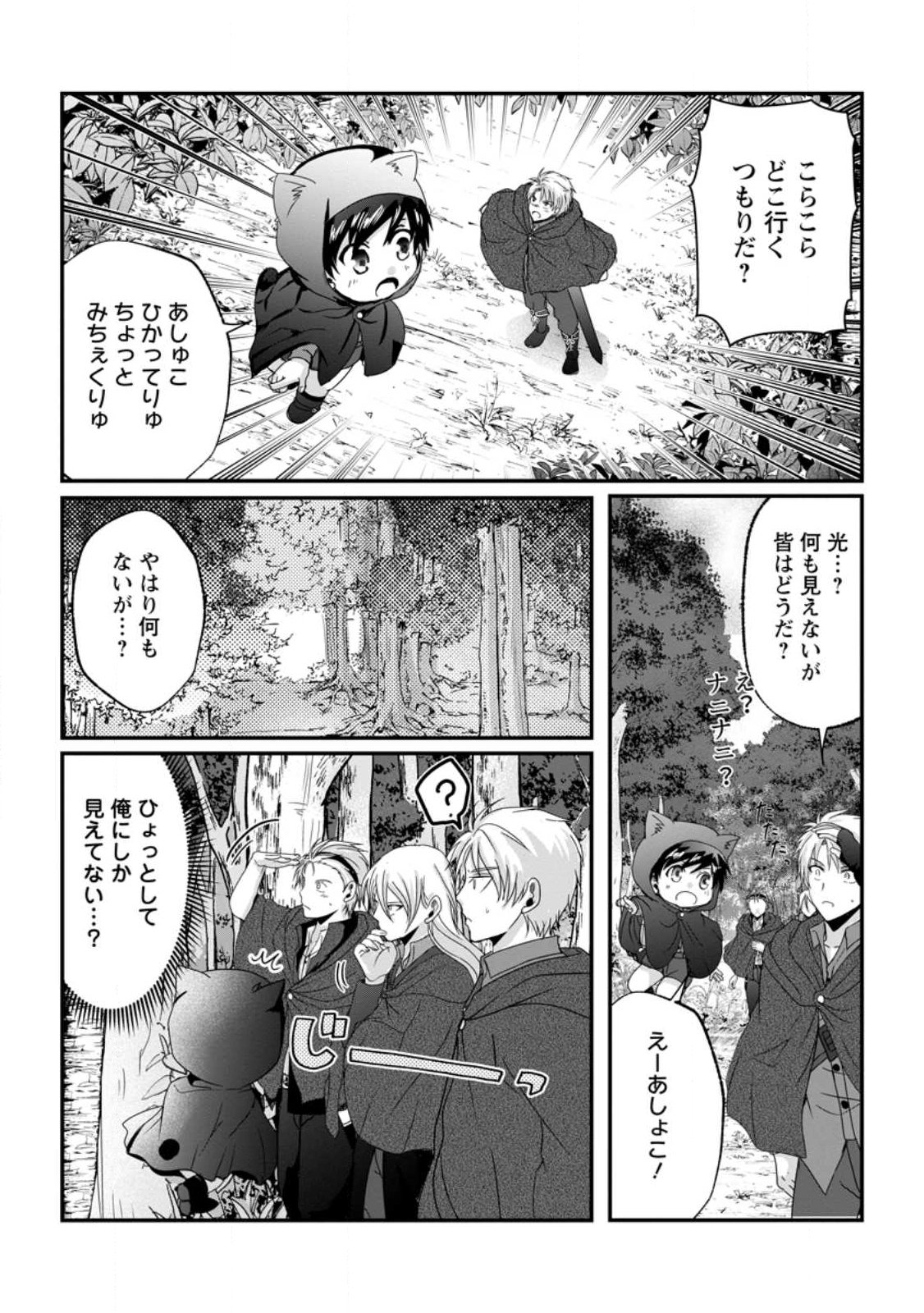 Chittai Ore no Makikomare Isekai Seikatsu Chapter 28.3 8ページ