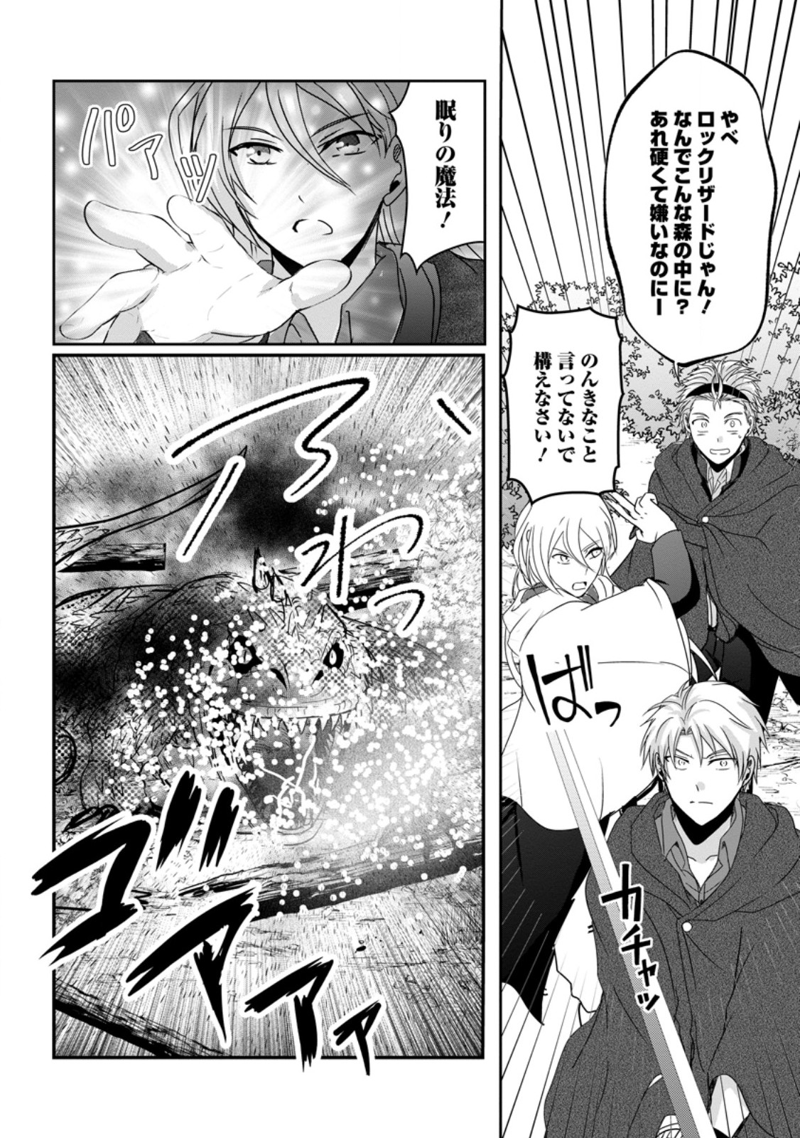 Chittai Ore no Makikomare Isekai Seikatsu Chapter 29.2 10ページ