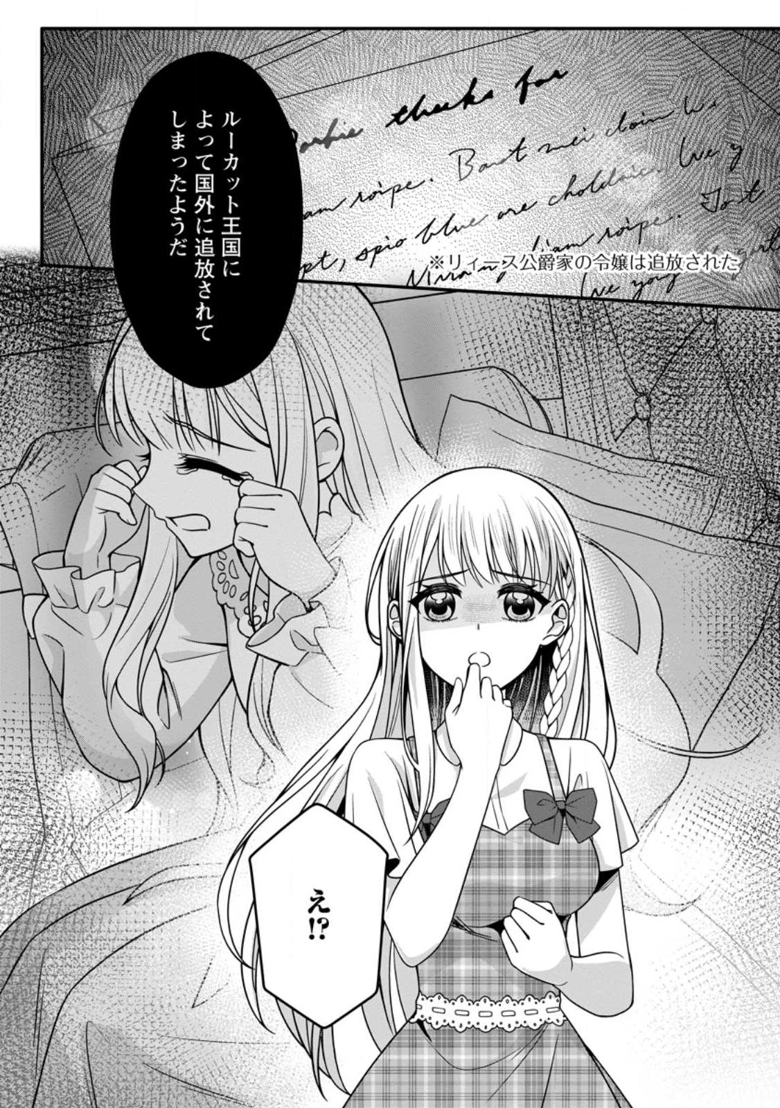 Konyakusha ga Ashita, Kekkon Suru Sou desu. Chapter 23.3 11ページ