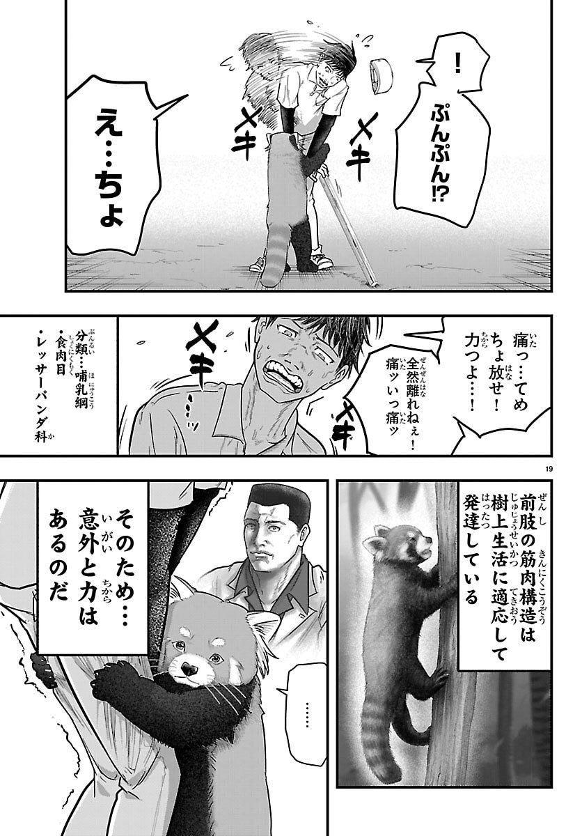 Punpun: Lesser Ninkyouden Chapter 1 19ページ