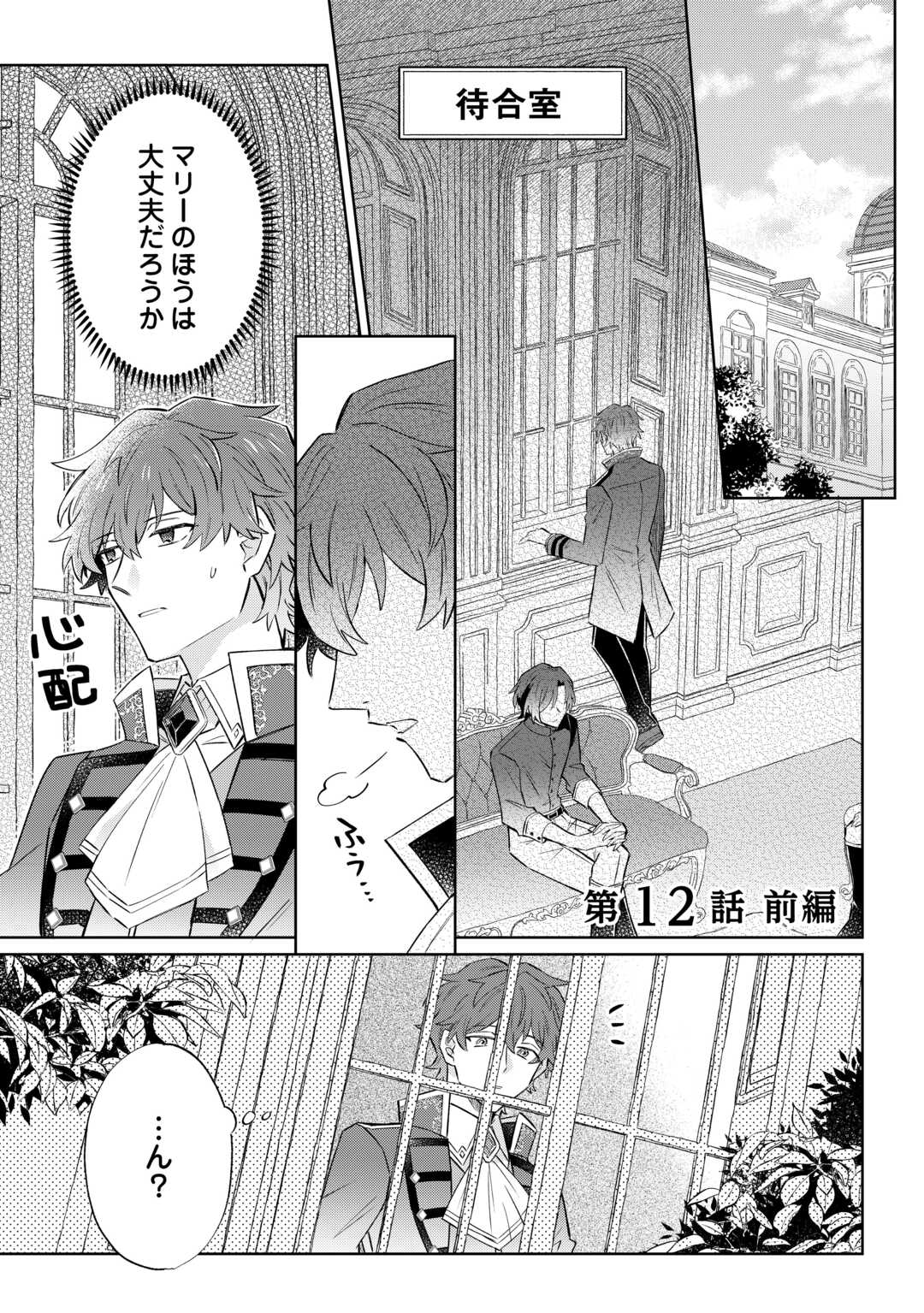 Kizoku Reijou ni Umaretakaraniwa Nengan no Daradara Neet Seikatsu shitai. Chapter 12.1 1ページ
