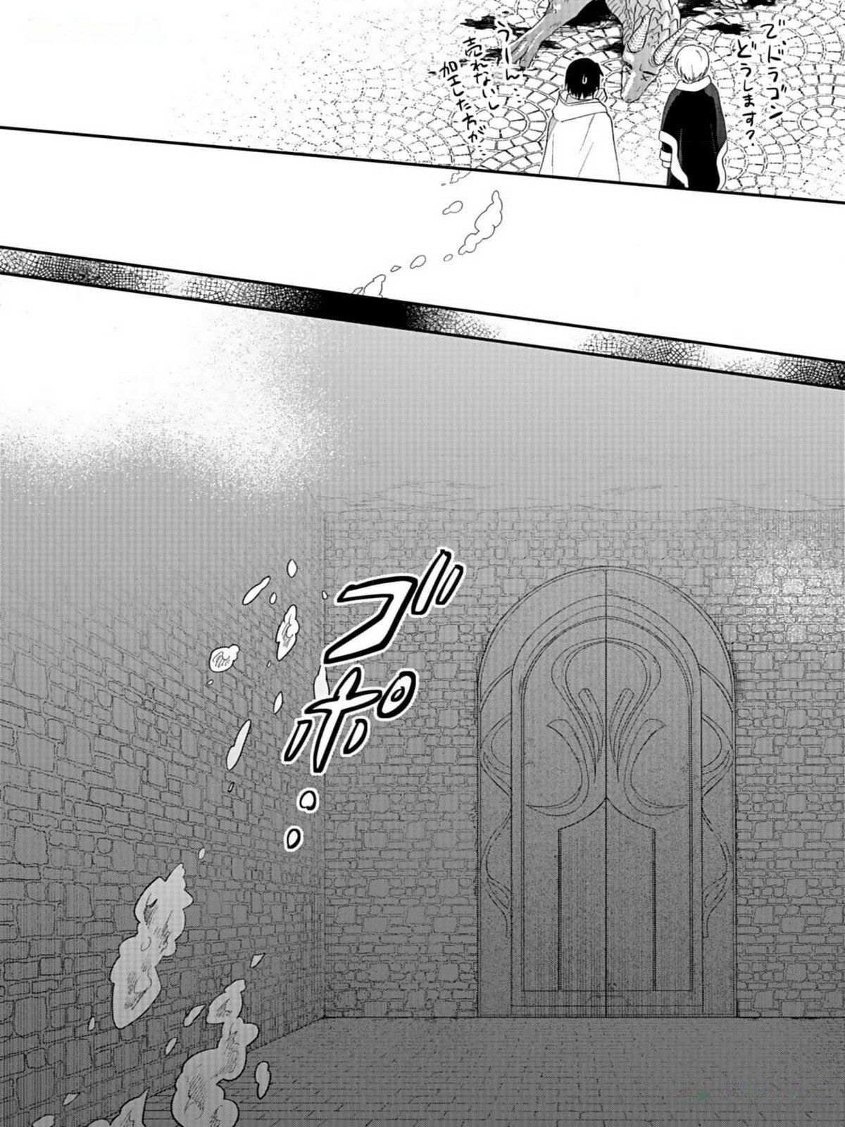 Shiro no Necromancer ~Shiryou Ou e no Michi~ Chapter 33 22ページ