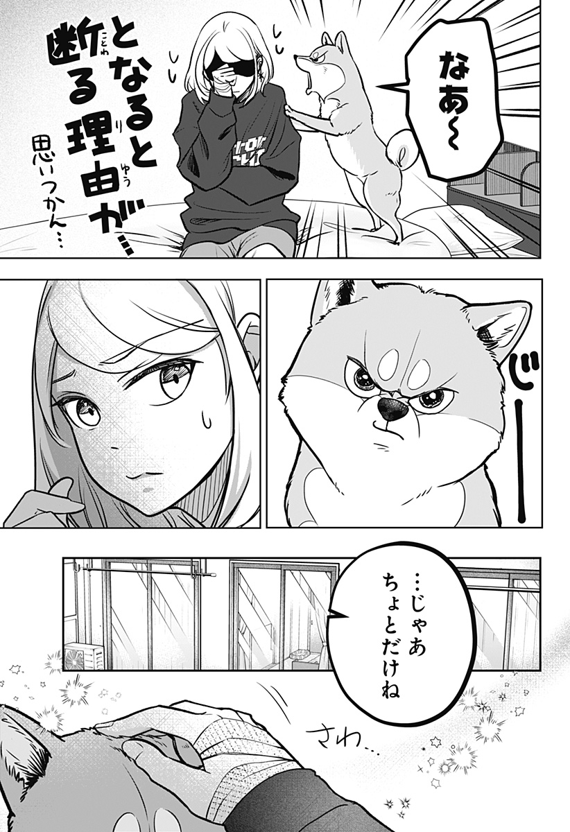 Shiba-Tsuki Bukken Chapter 2 8ページ