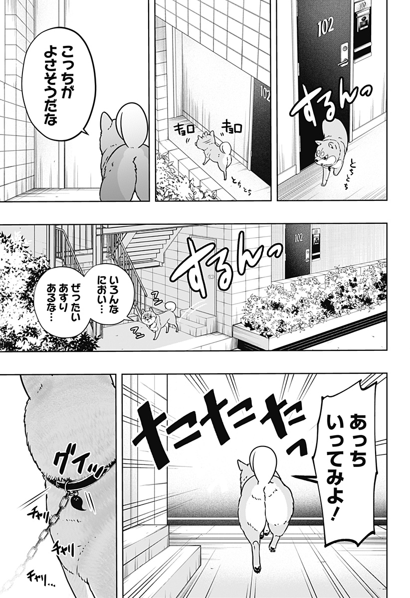 Shiba-Tsuki Bukken Chapter 11 11ページ