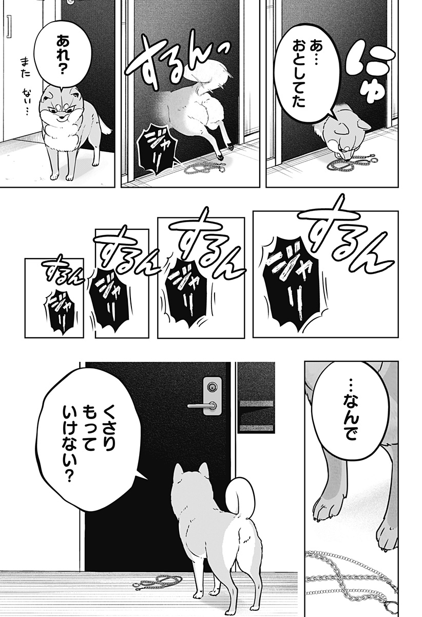 Shiba-Tsuki Bukken Chapter 11 19ページ