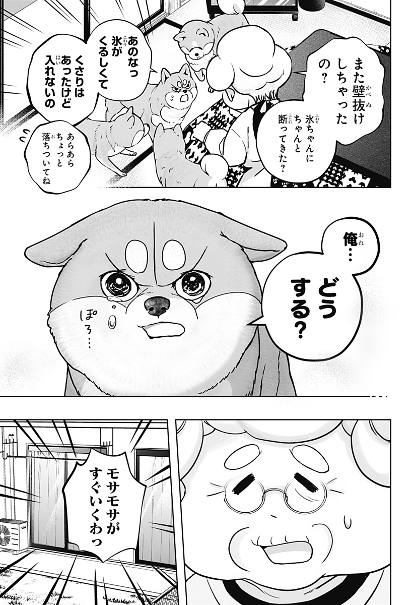 Shiba-Tsuki Bukken Chapter 11 21ページ