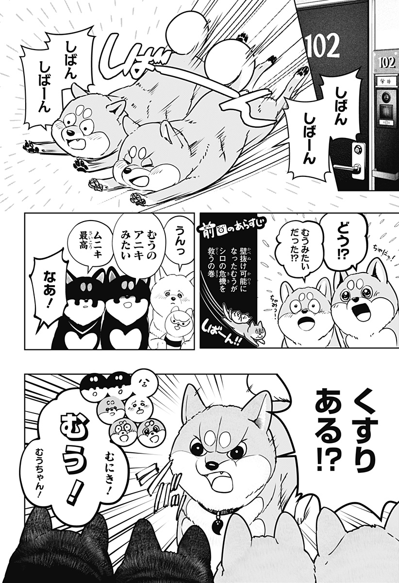 Shiba-Tsuki Bukken Chapter 11 8ページ
