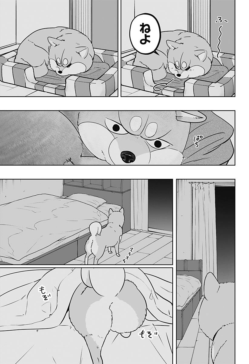Shiba-Tsuki Bukken Chapter 19 9ページ
